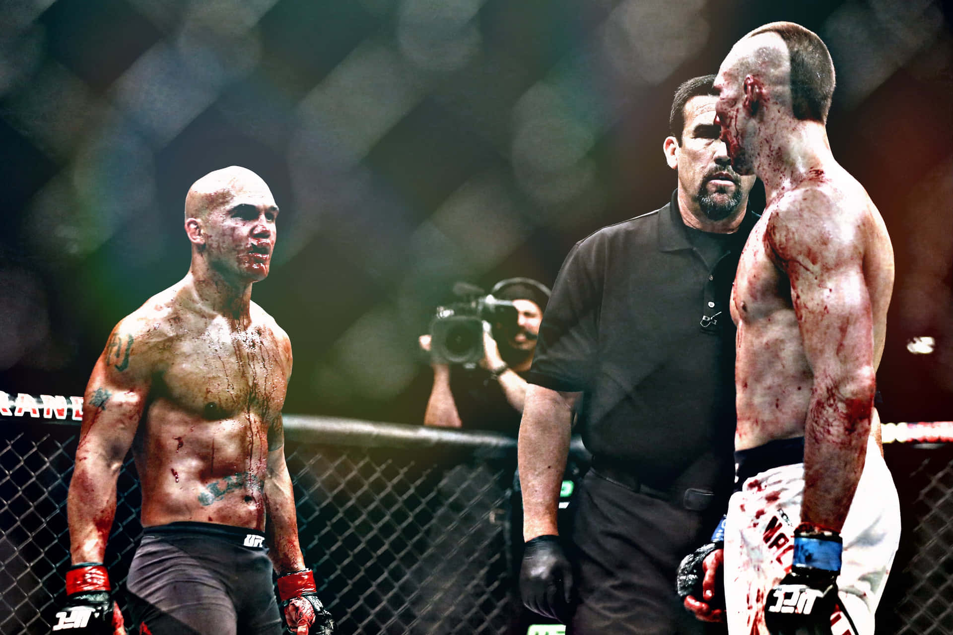 Robbie Lawler And Rory MacDonald Face Off Wallpaper