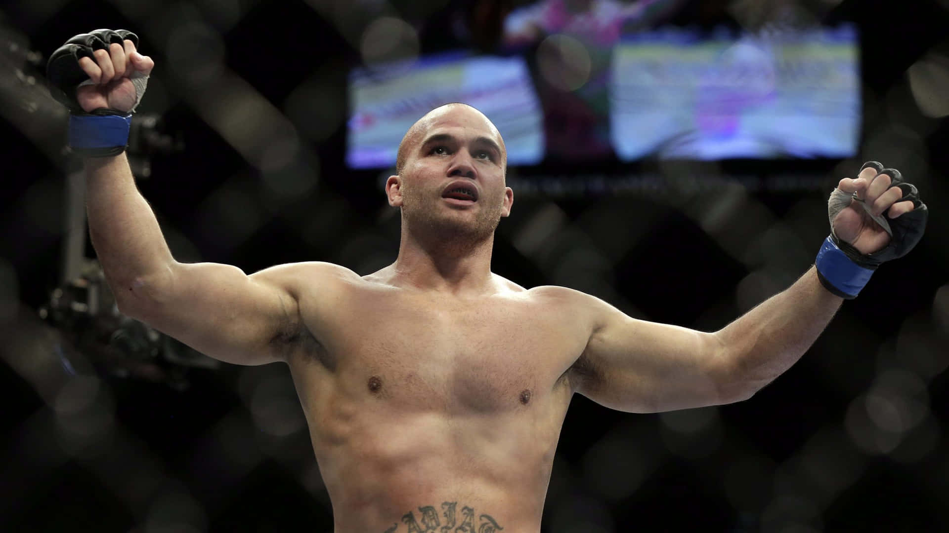 Robbie Lawler in action during UFC 167 Wallpaper