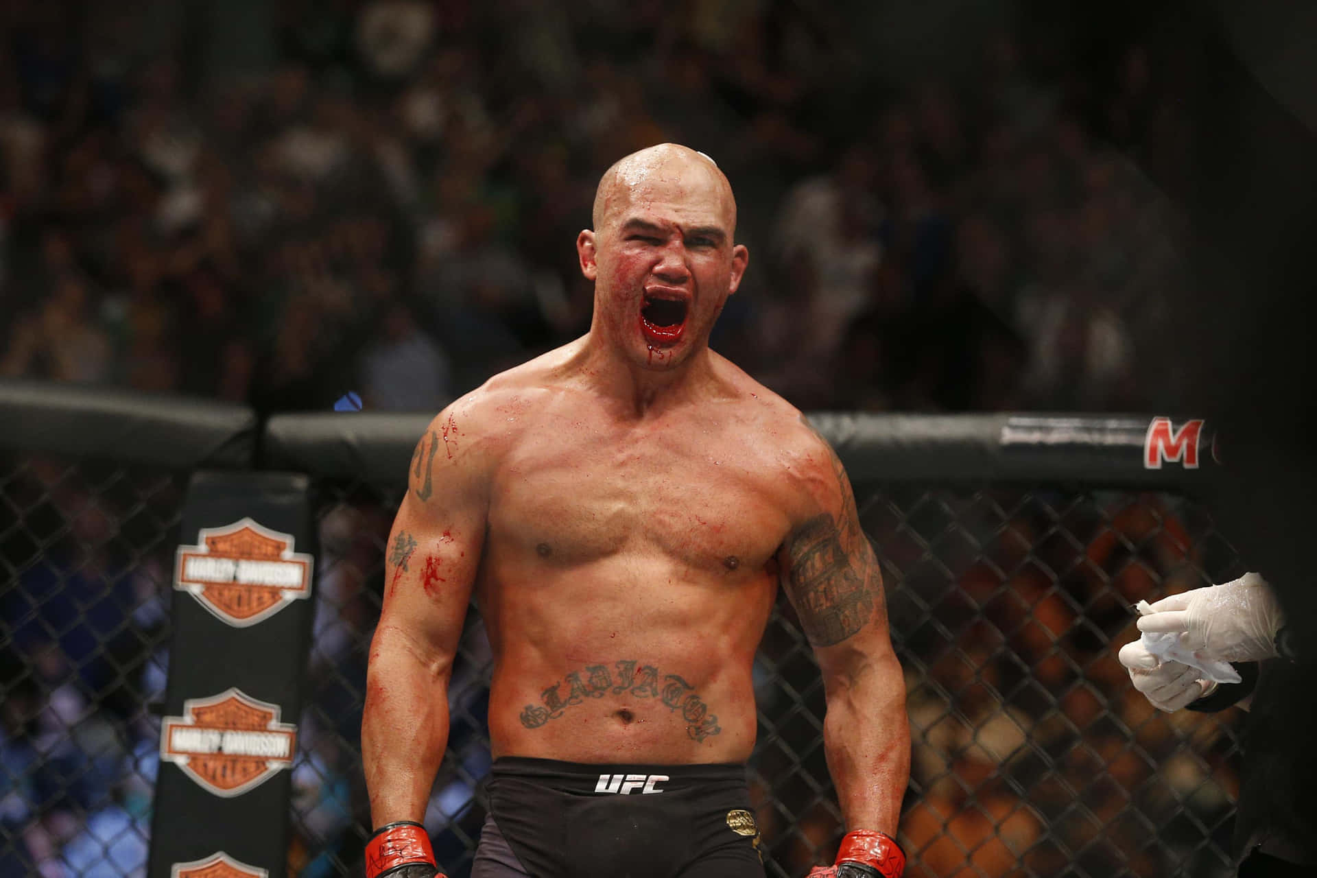 Robbie Lawler Reacts At UFC 189 Wallpaper