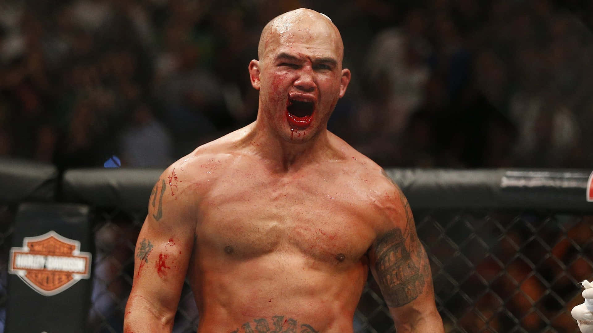 Robbie Lawler Reacts To His Victory Wallpaper