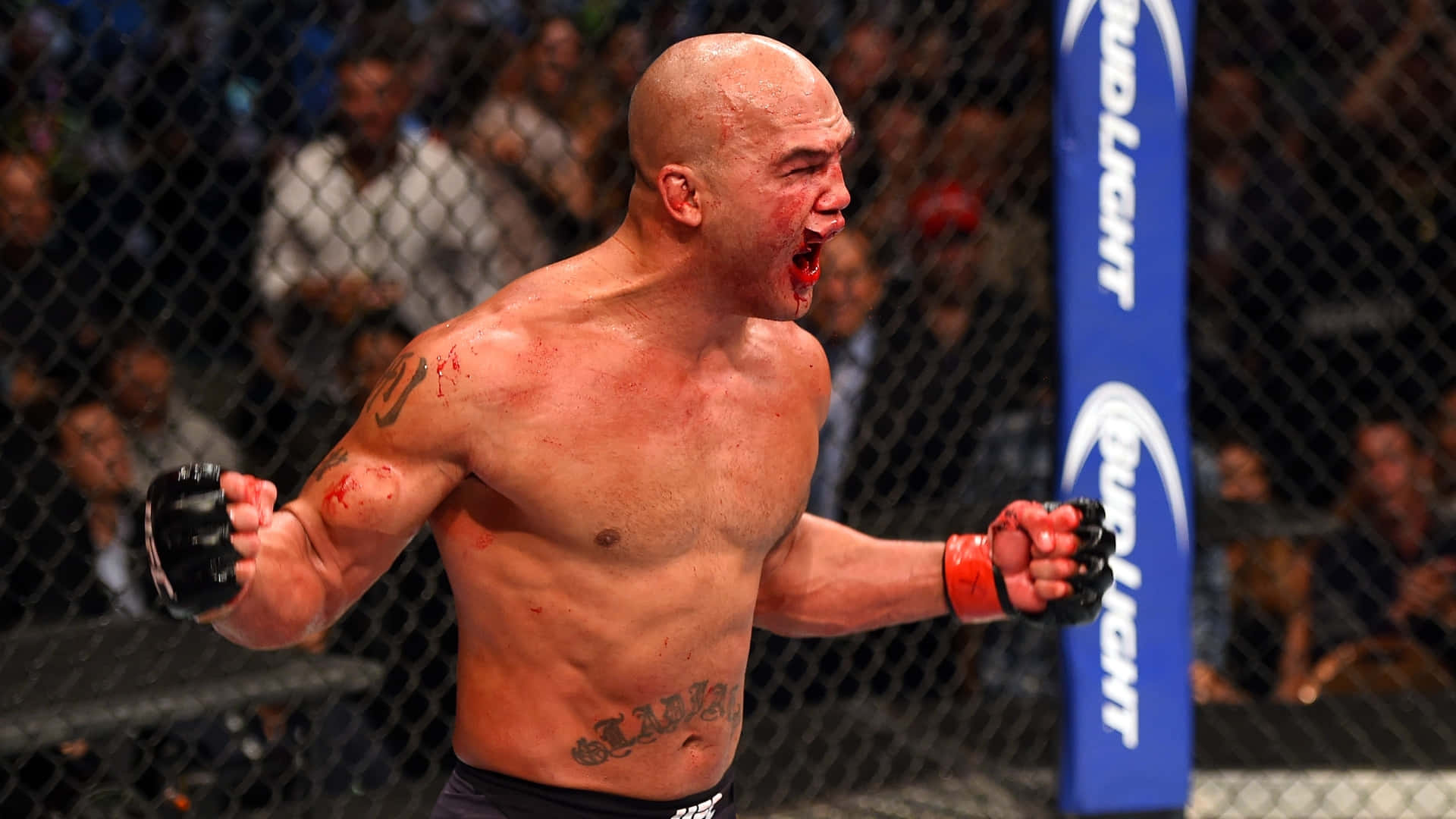Robbie Lawler Reacts With Pride Wallpaper