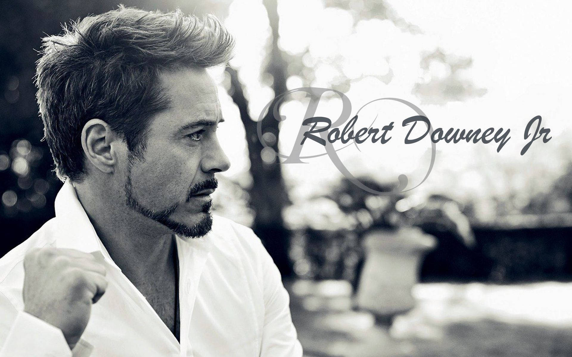 Robert Downey Jr – Actor Extraordinaire Wallpaper