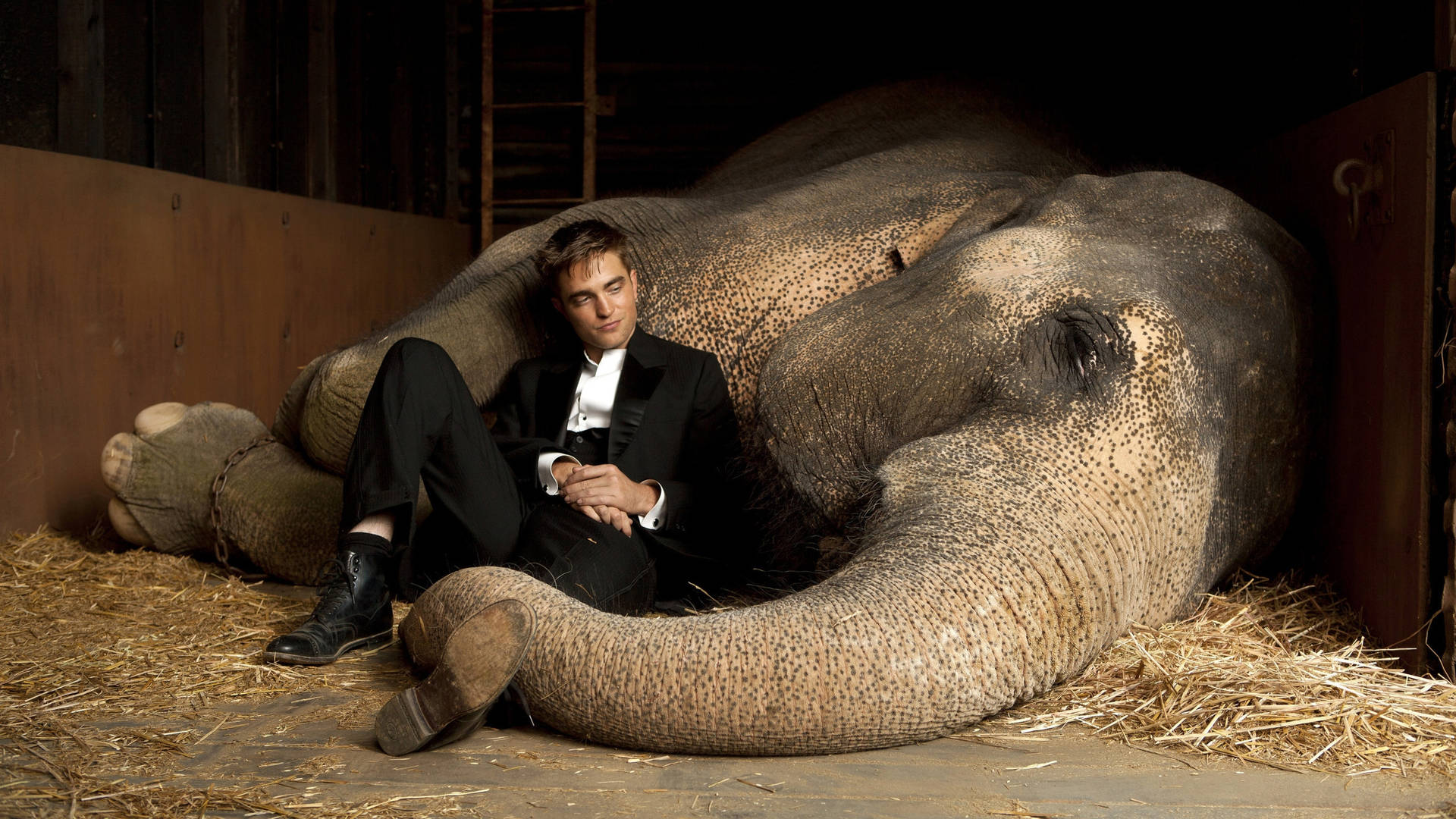 Robert Pattinson Water For Elephants