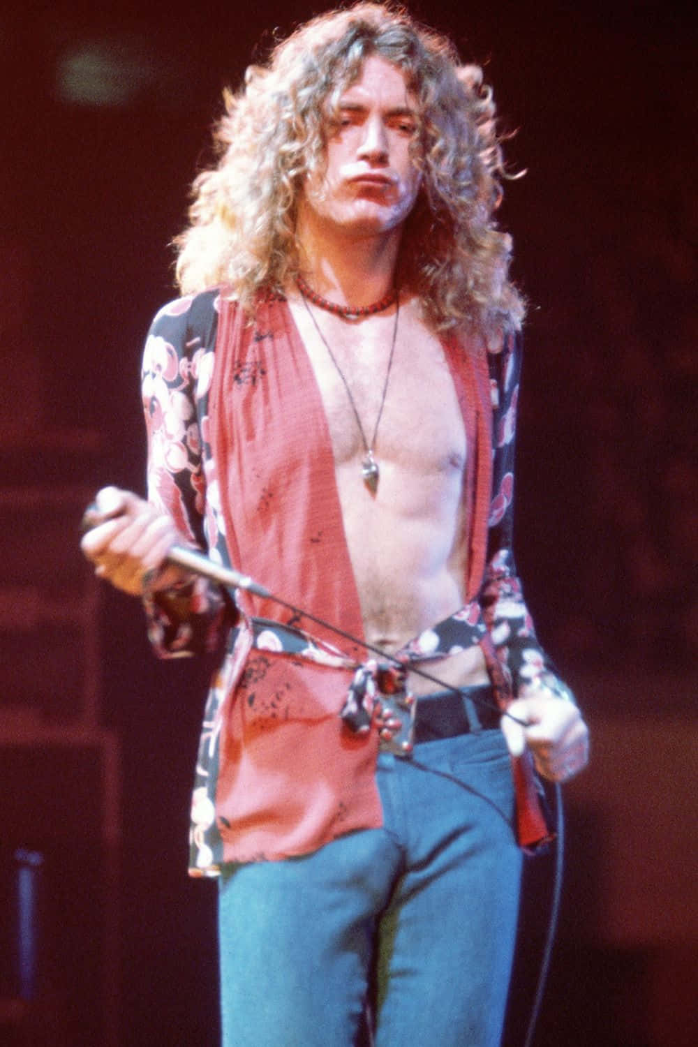 Download Legendary Musician Robert Plant | Wallpapers.com