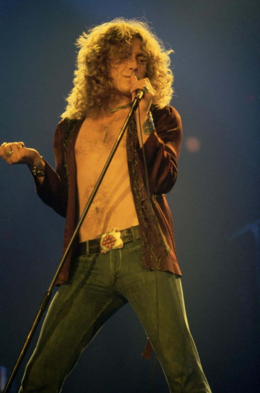 Imagende Robert Plant, Ex Cantante De Led Zeppelin.