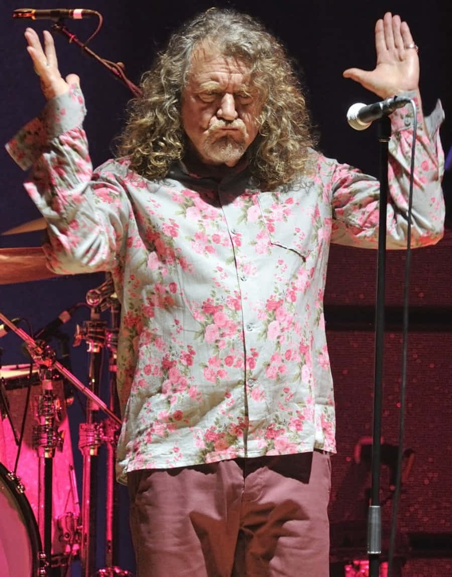 Robert Plant Performing