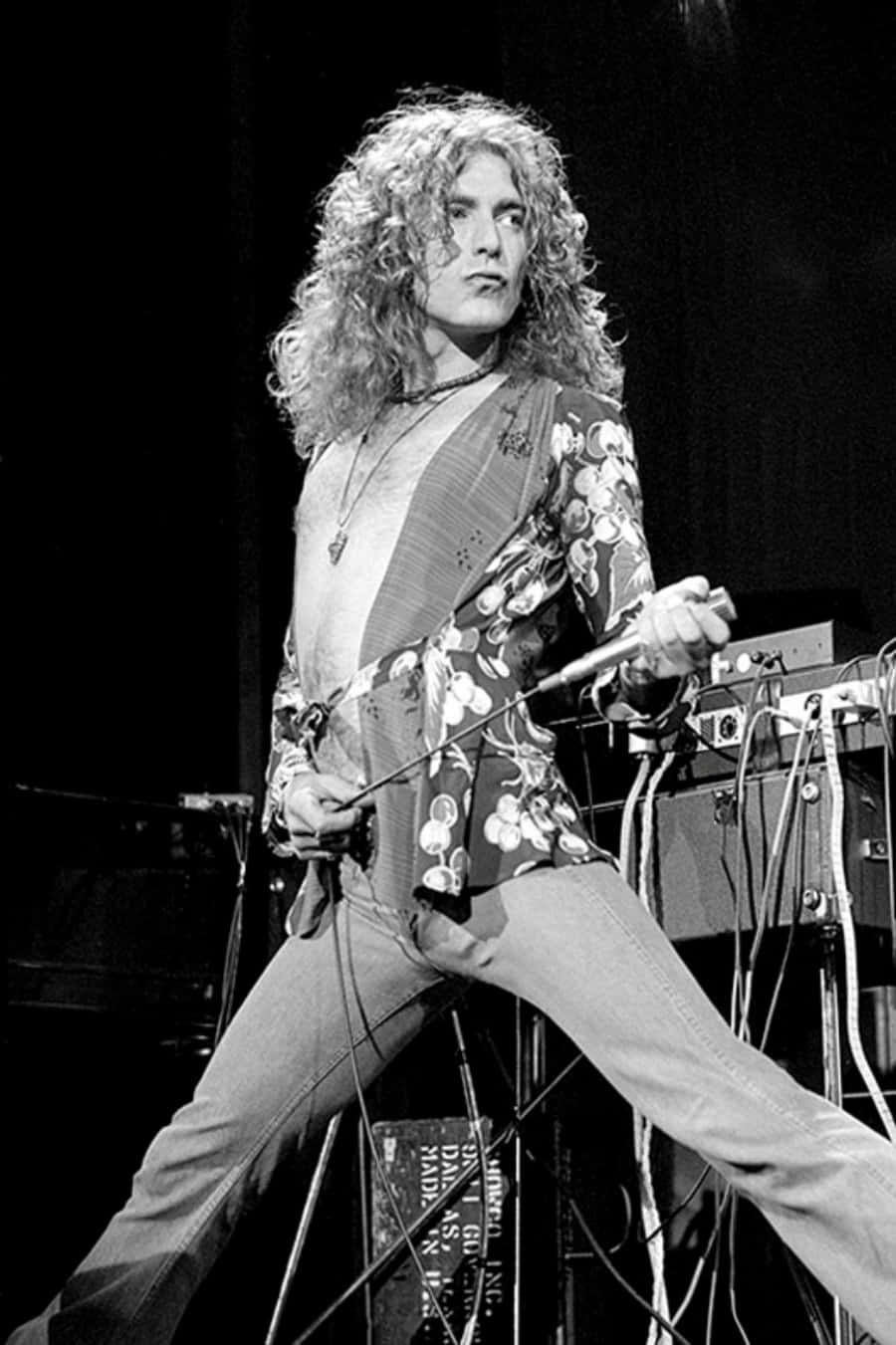 Vocalistalegendario De Rock-n-roll Robert Plant
