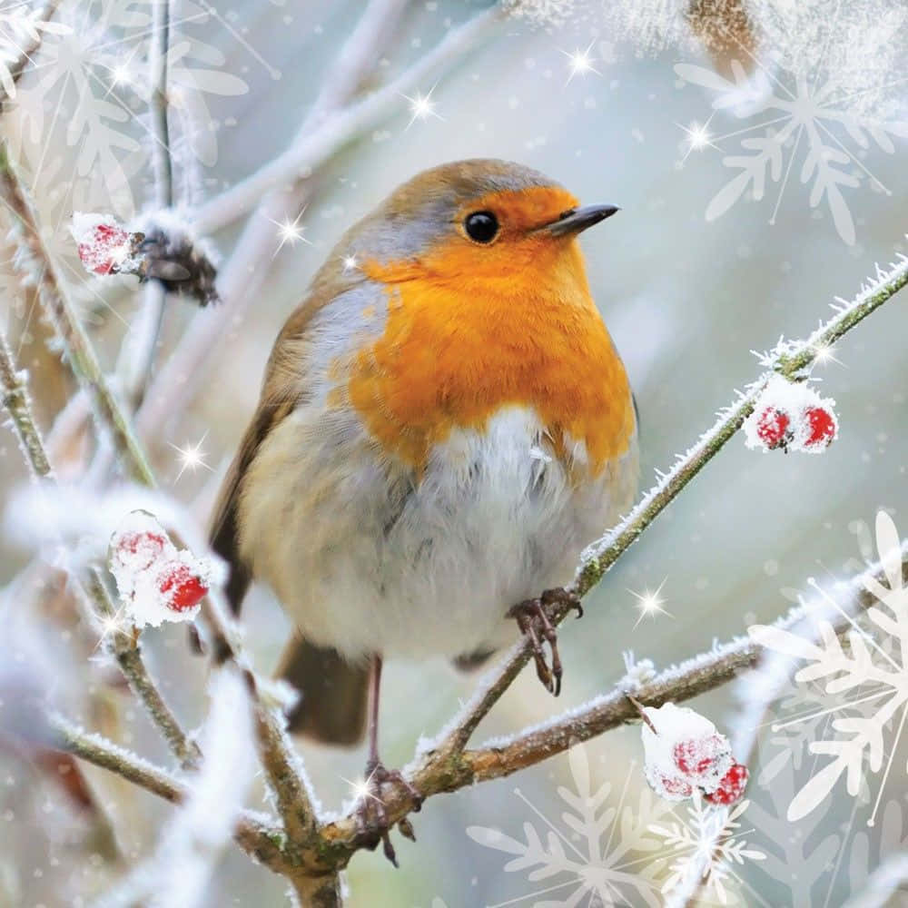 A cheerful robin on a colorful branch