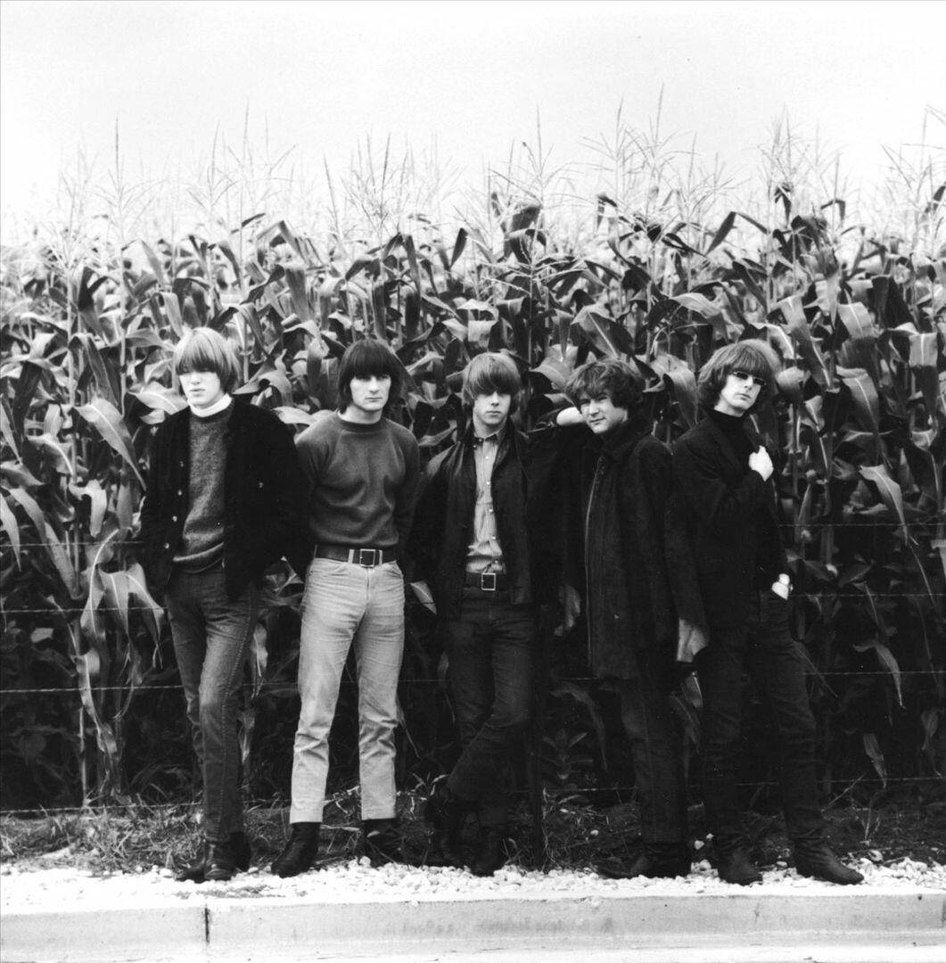 Legendarisk band The Byrds har et musiktema tapet. Wallpaper