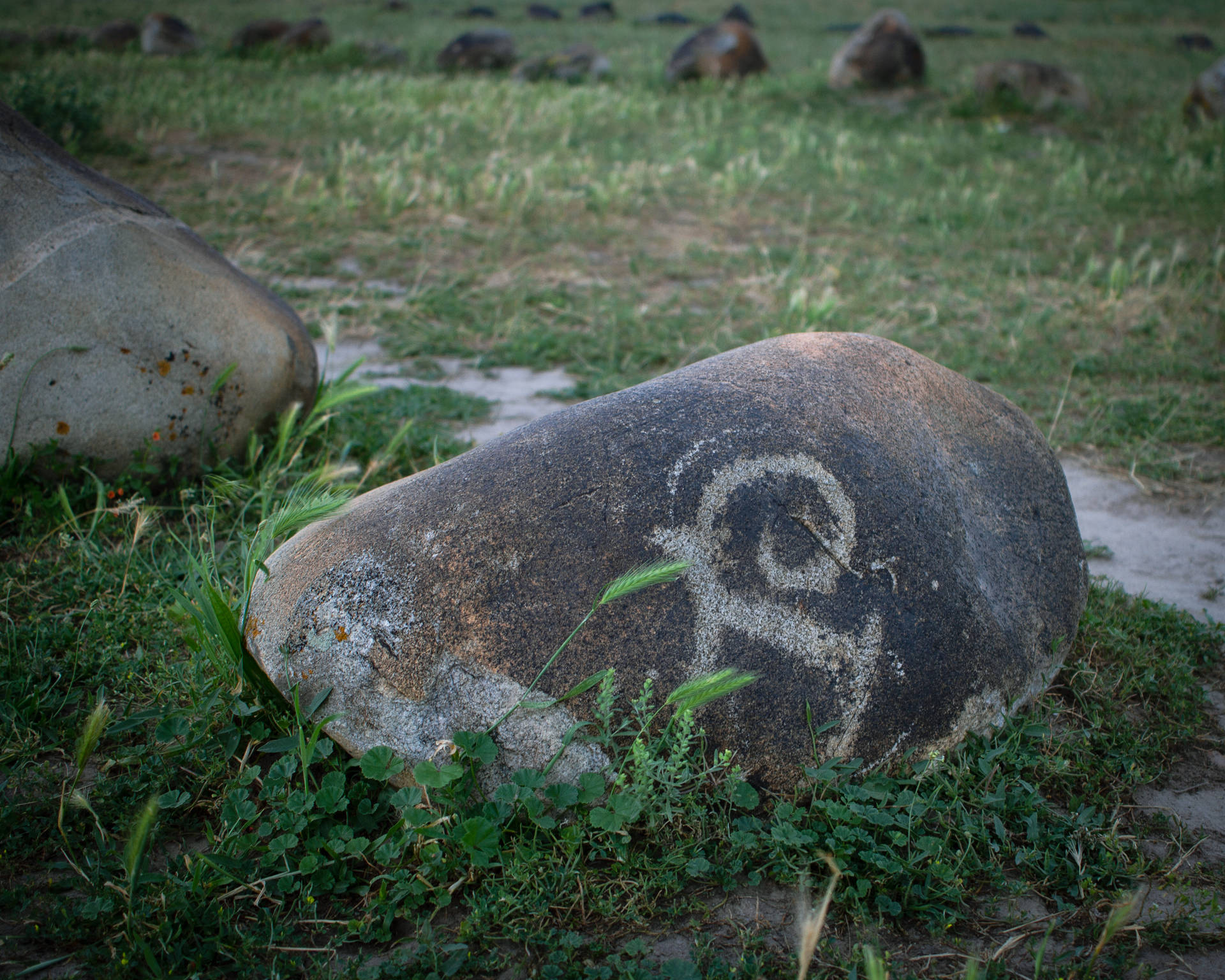 Rock Carvings Kyrgyzstan