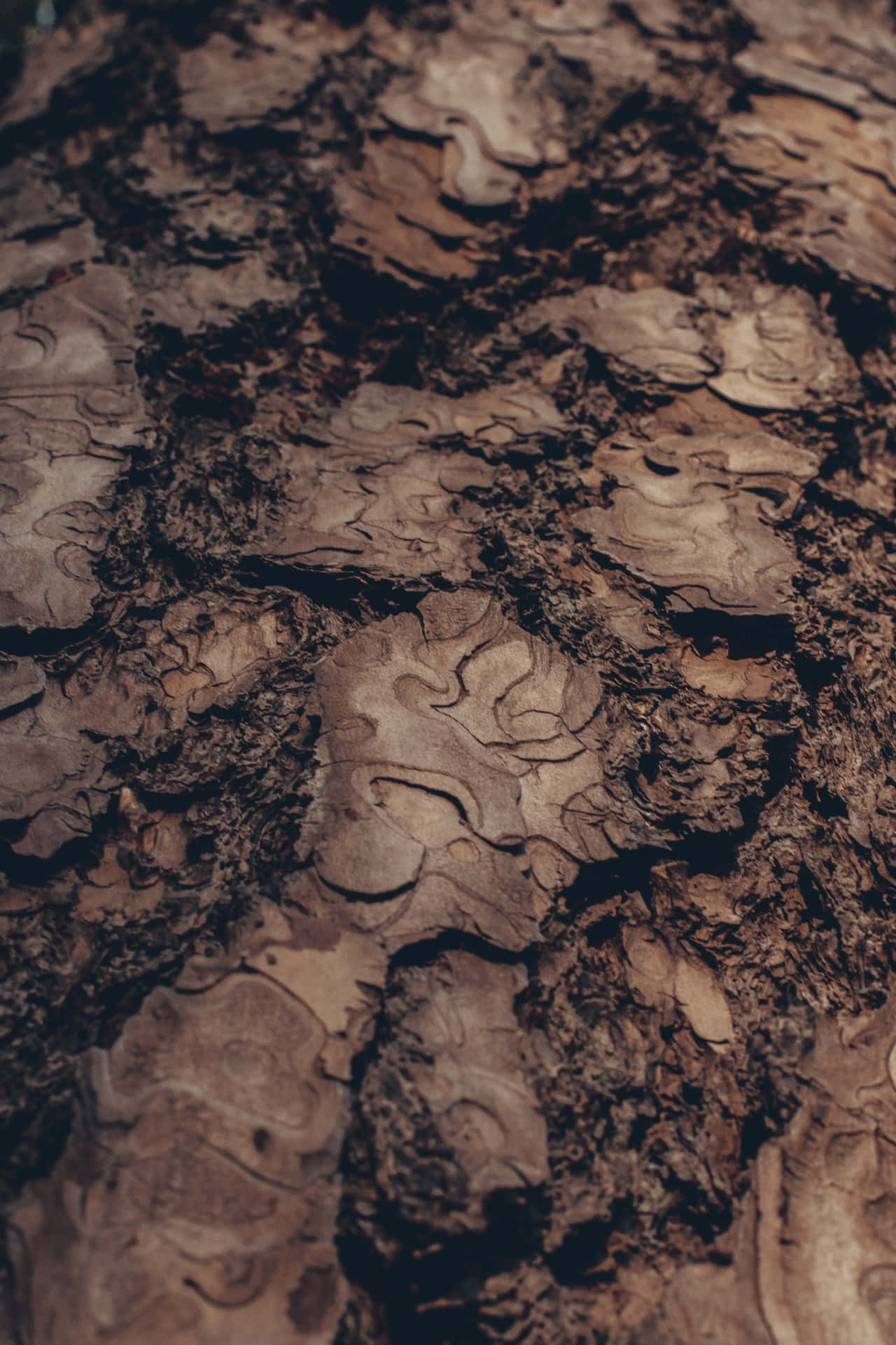 Rock Formation Brown Mud Wallpaper