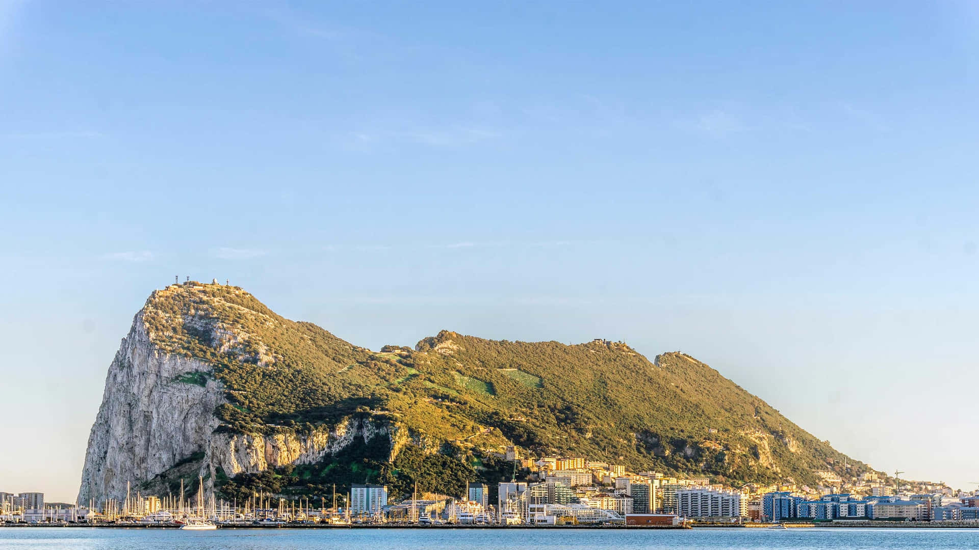 Rock Of Gibraltar Green Surface Wallpaper