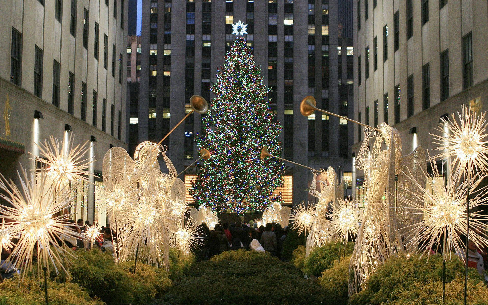 Rockefeller Center Garden Walkway Picture