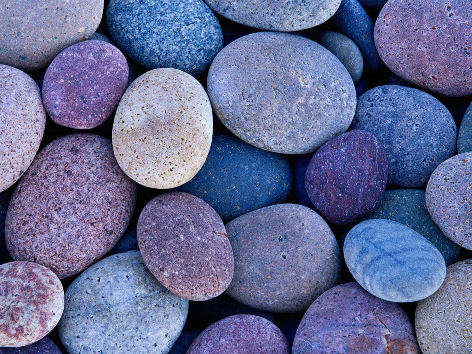 Blå rocks, lilla grus, blå sten Wallpaper