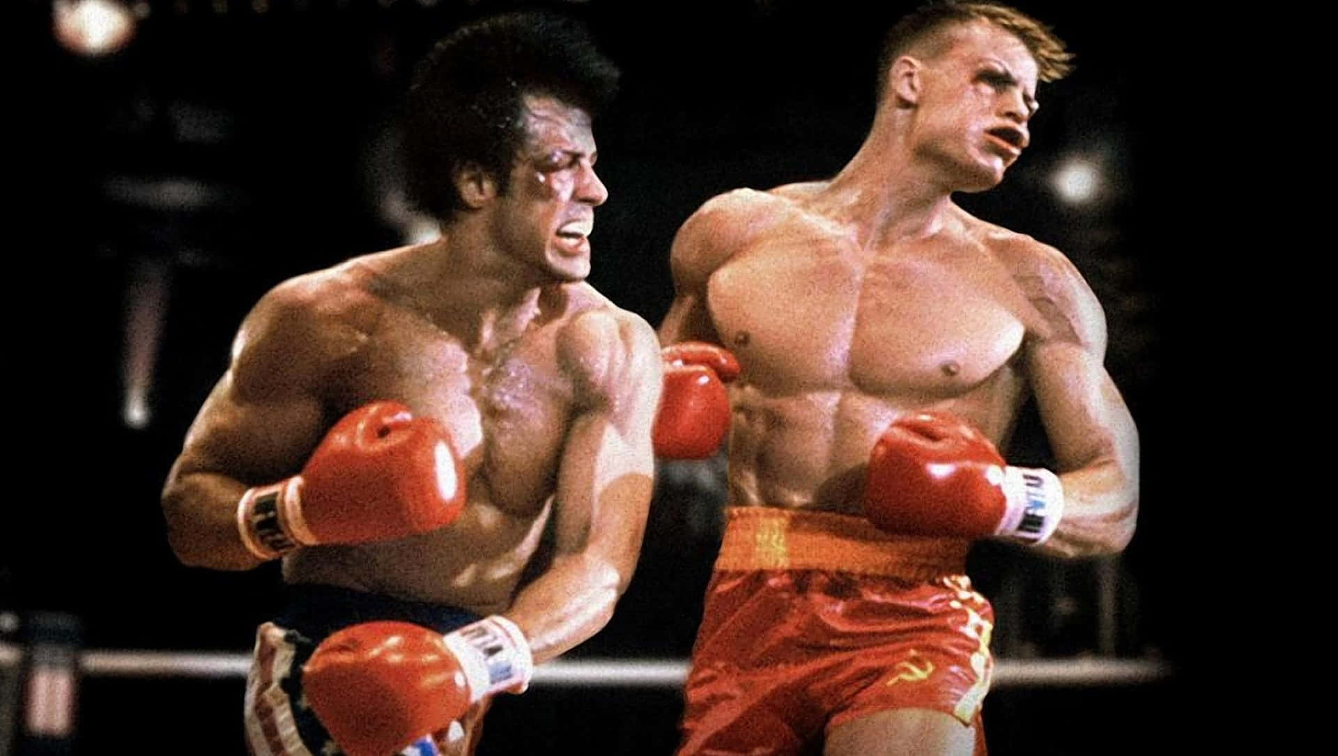 Combatede Boxeo De Rocky Balboa Fondo de pantalla