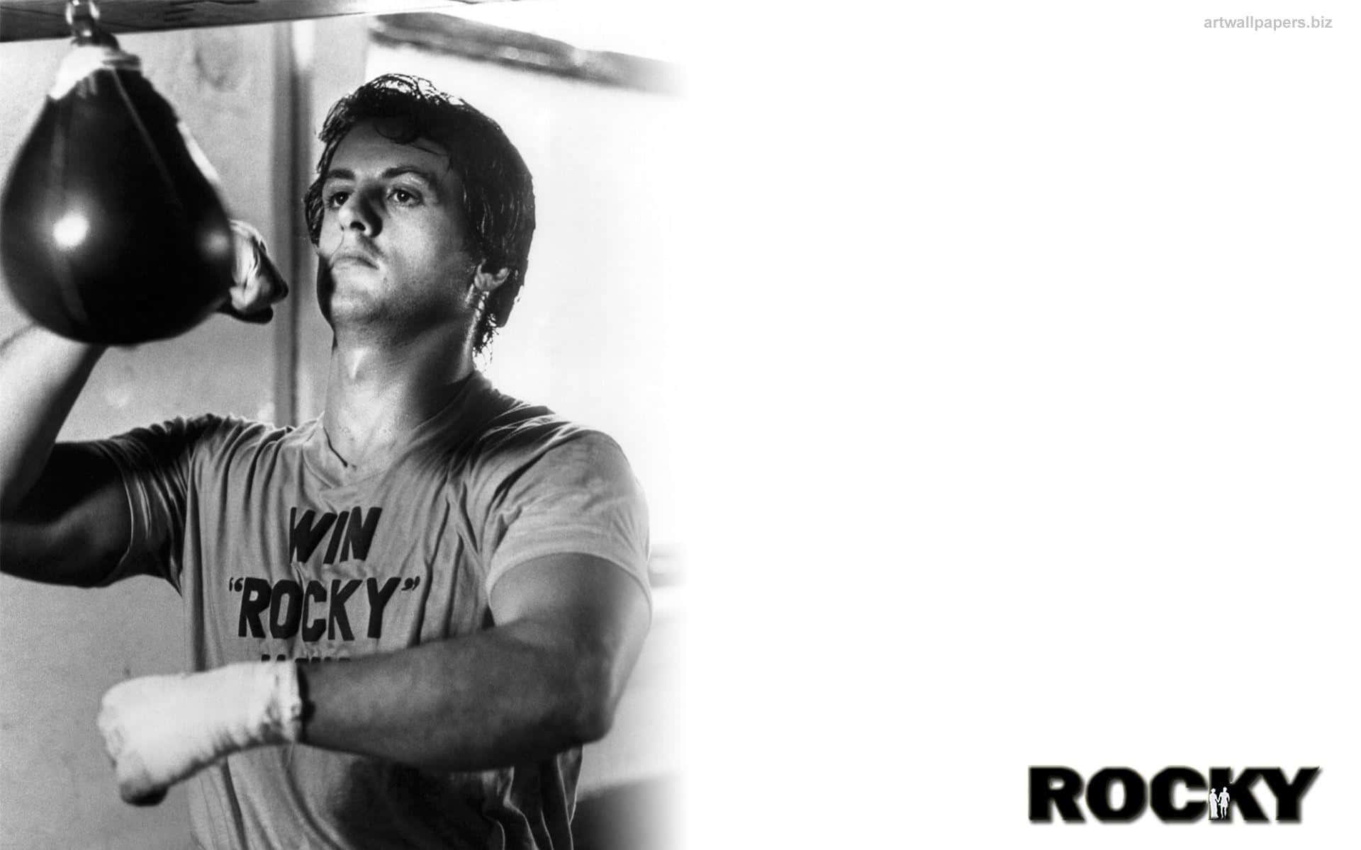 Rocky Balboa Boxing Training Wallpaper