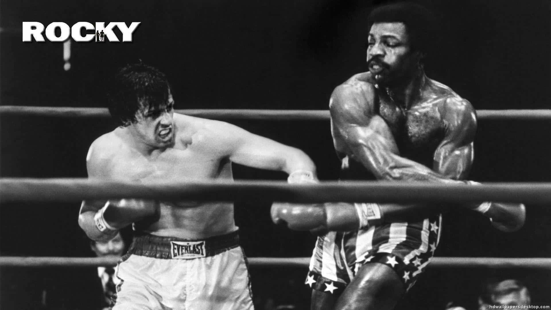 Combatede Rocky Balboa Em Preto E Branco. Papel de Parede