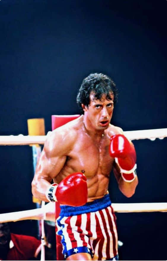 Rocky Balboa Inside Boxing Ring Wallpaper