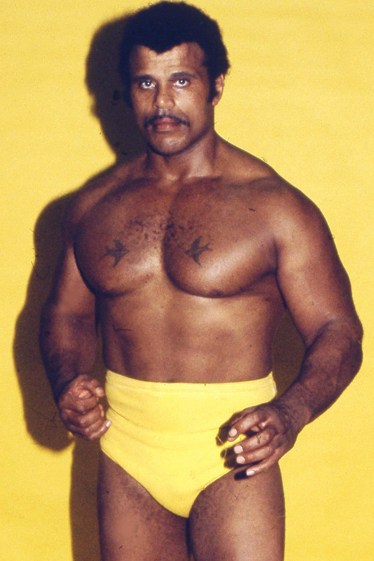 Rocky Johnson Against Solid Yellow Backdrop Wallpaper