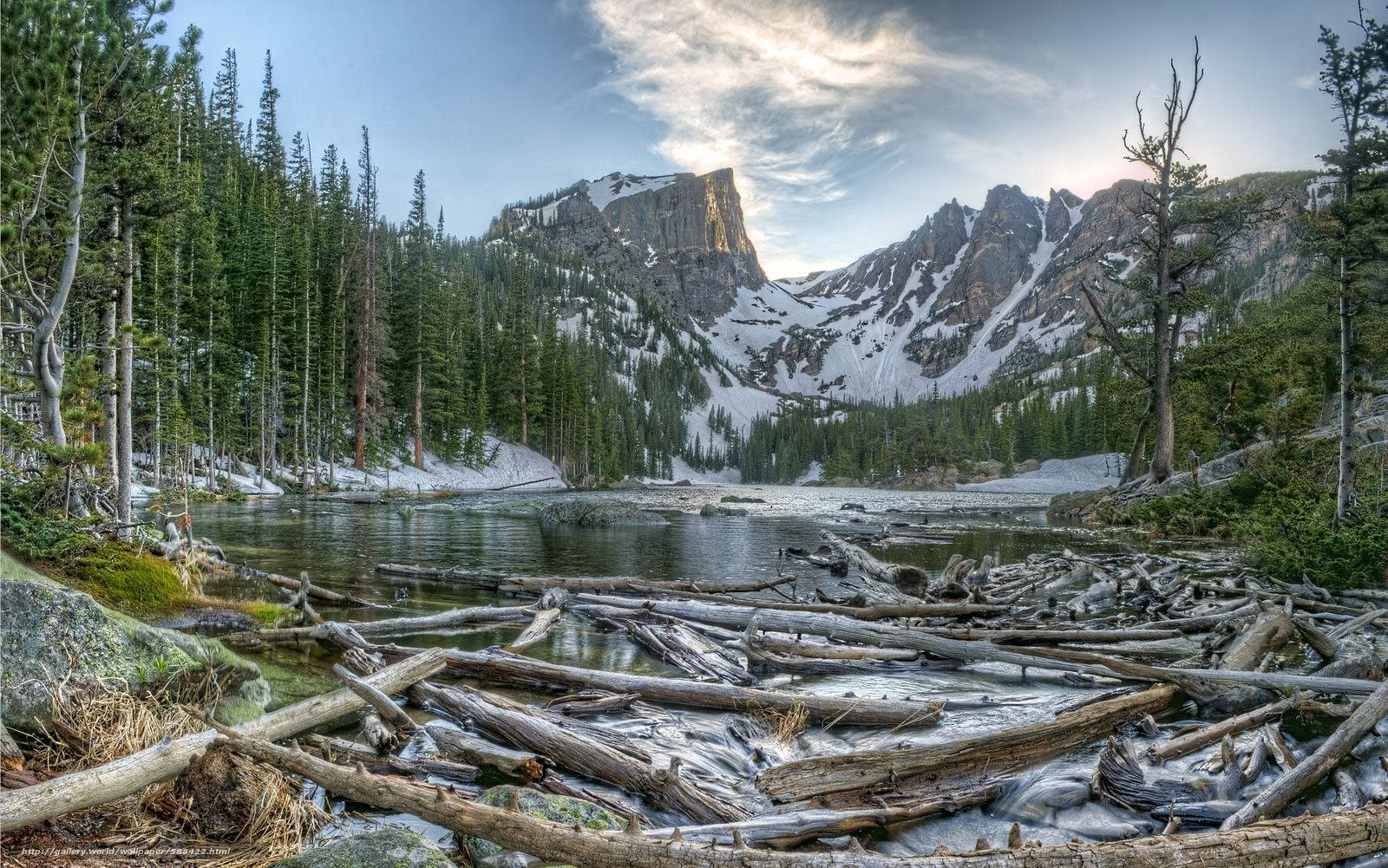 Rocky Mountain National Park Wood By The River Wallpaper