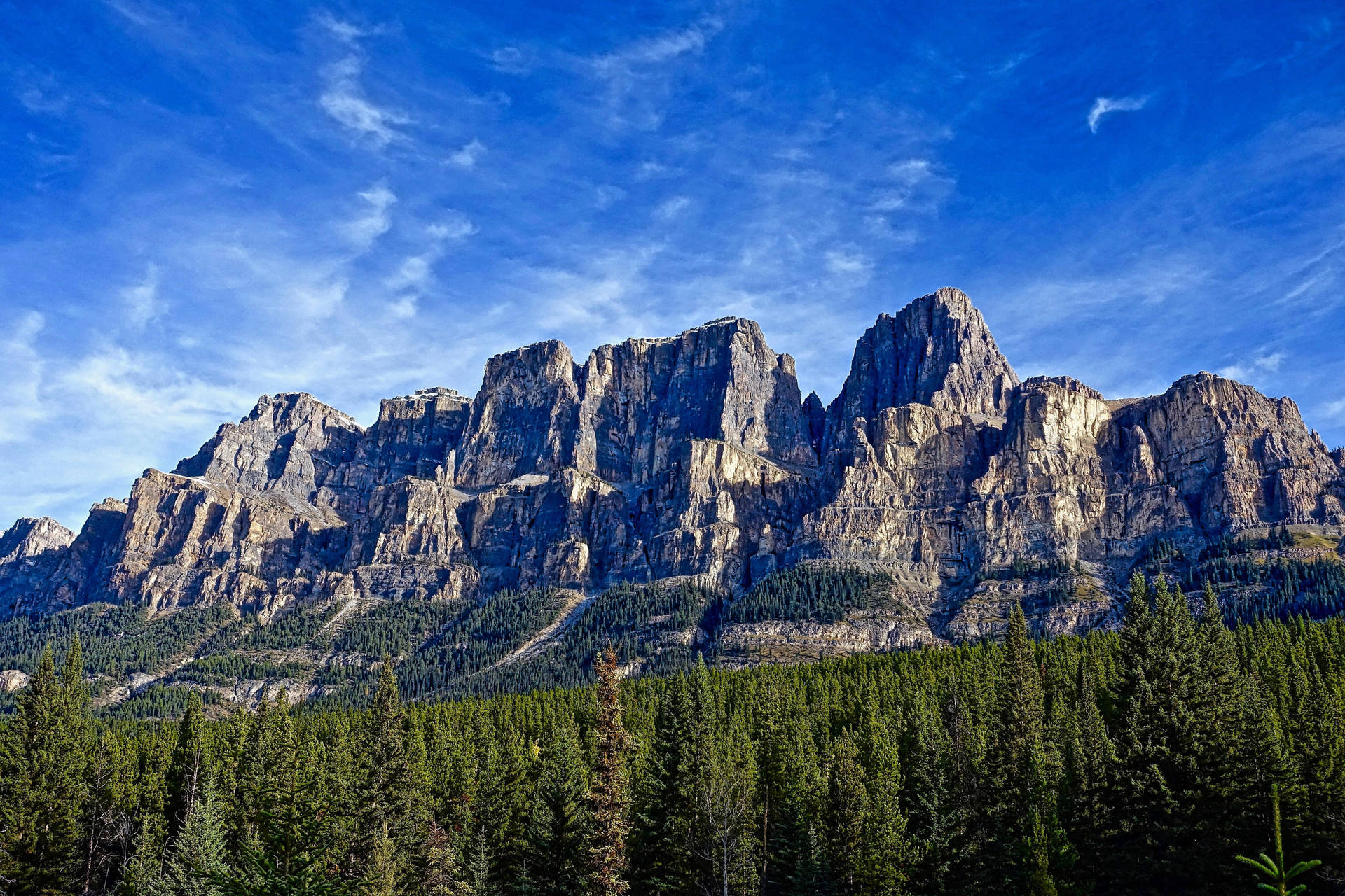 Rocky Mountain Towers Over The Forest Wallpaper
