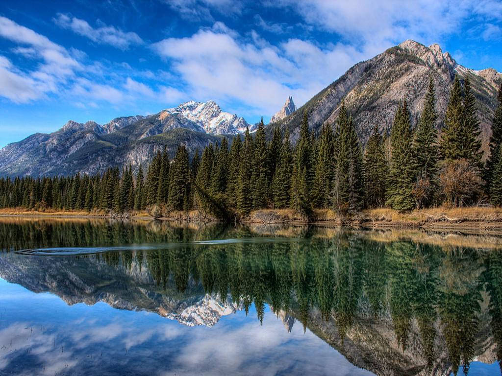 Rocky Mountain With Forest Reflected In Clear Water Wallpaper