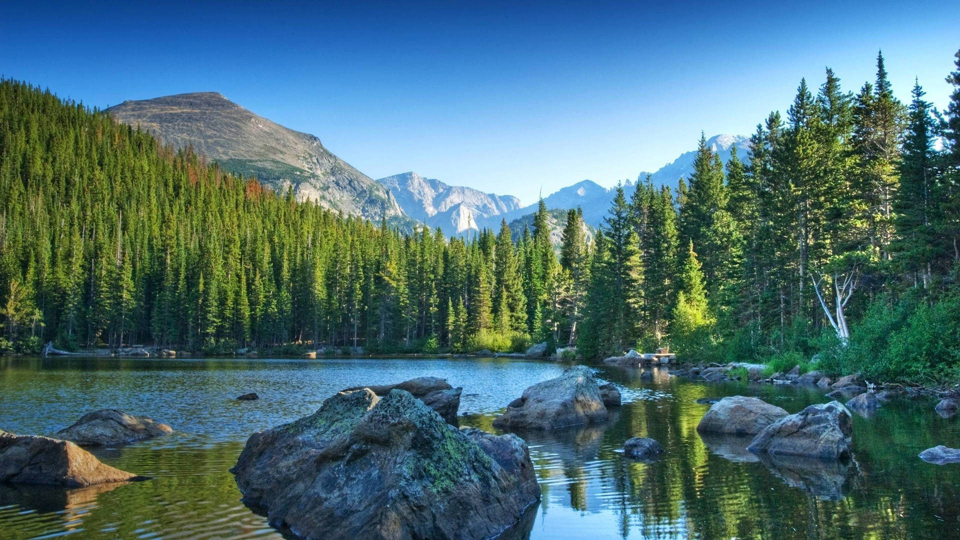 Rocky Mountain With Rocky Lake Surrounded By Trees Wallpaper