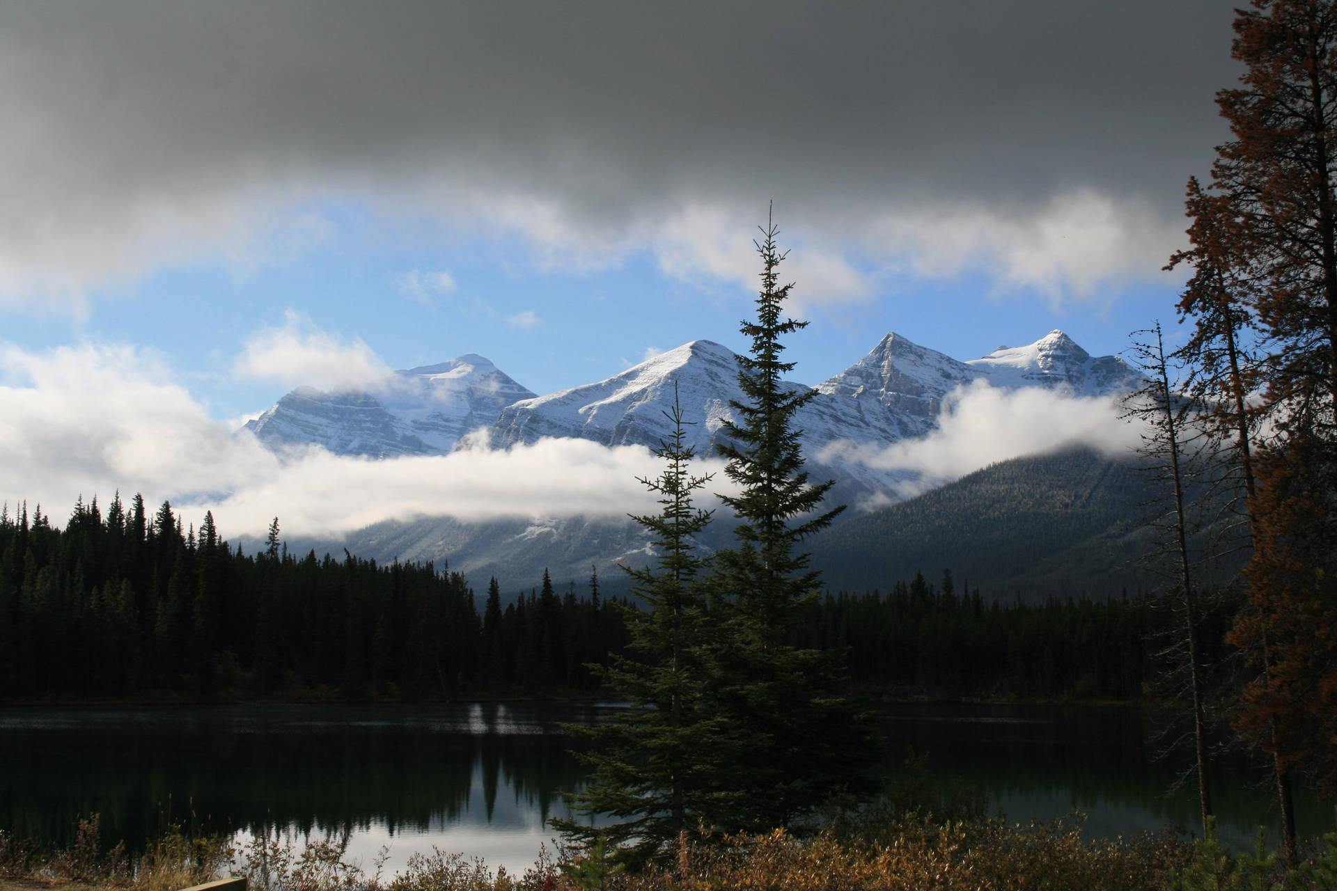 Rocky Mountain With Shadowy Forest Beneath Clouds Wallpaper