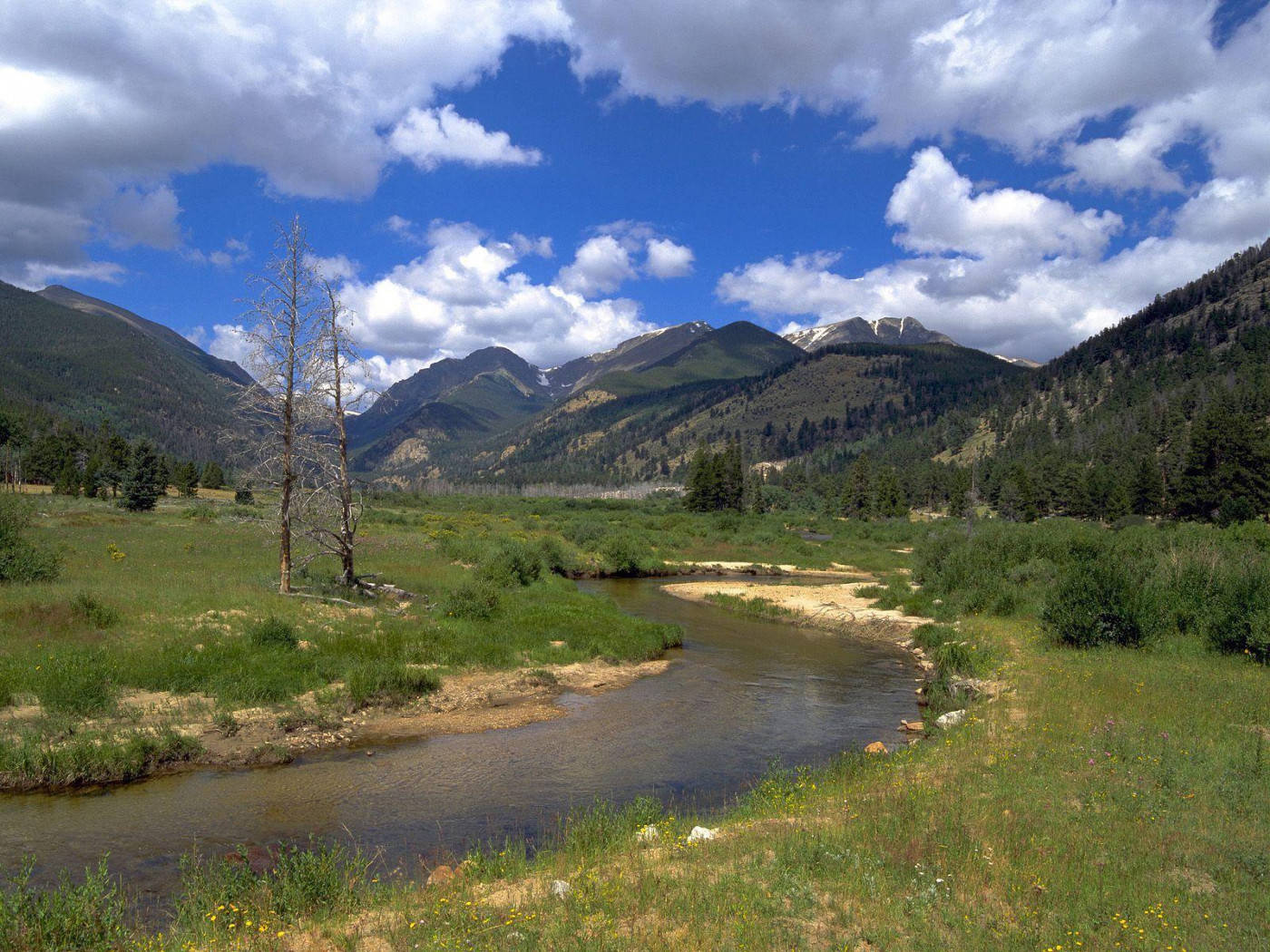 Rocky Mountain With Two Dead Trees By River Wallpaper