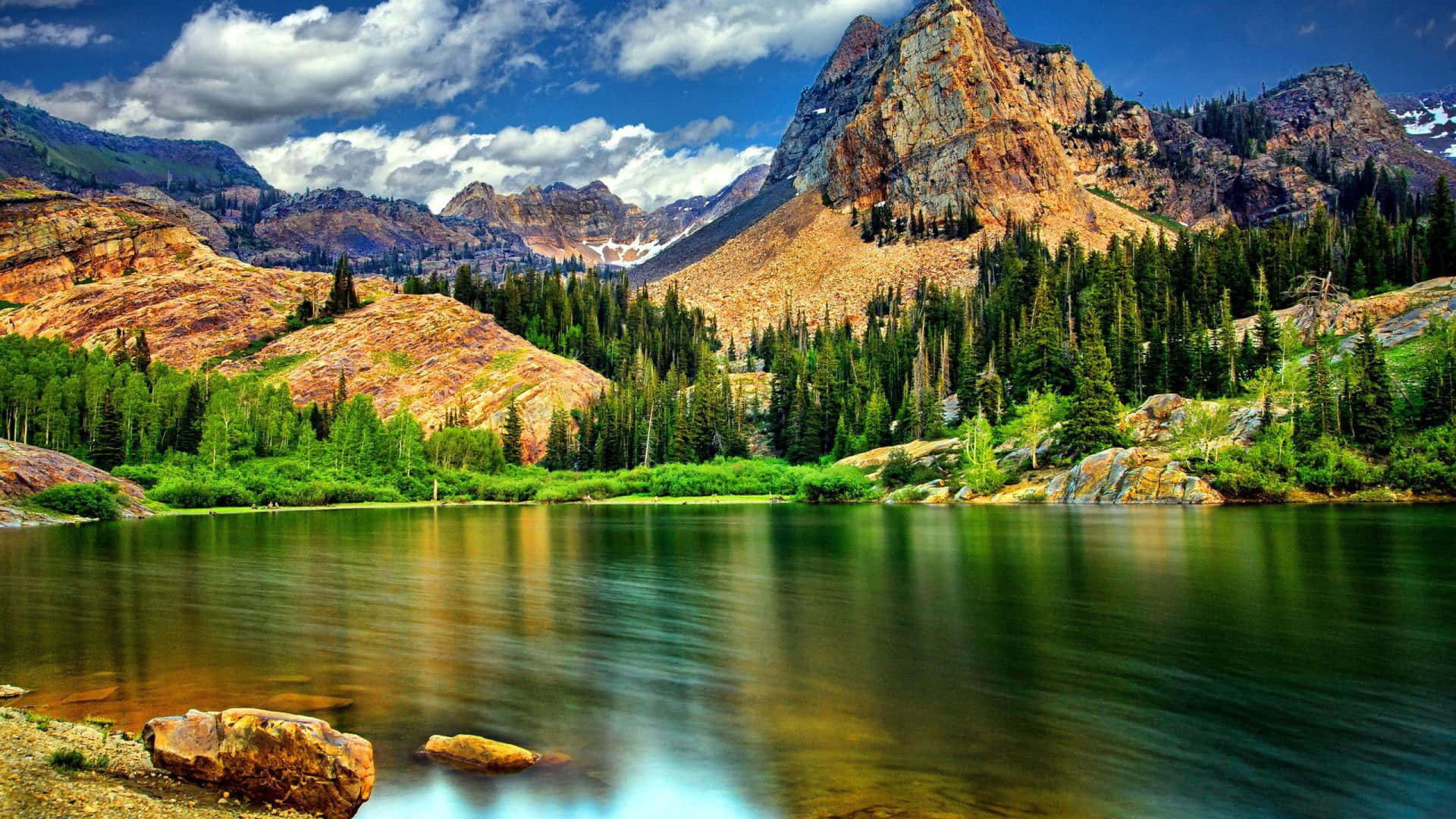Paisajede Las Montañas Rocosas Naturaleza Bosque Fondo de pantalla