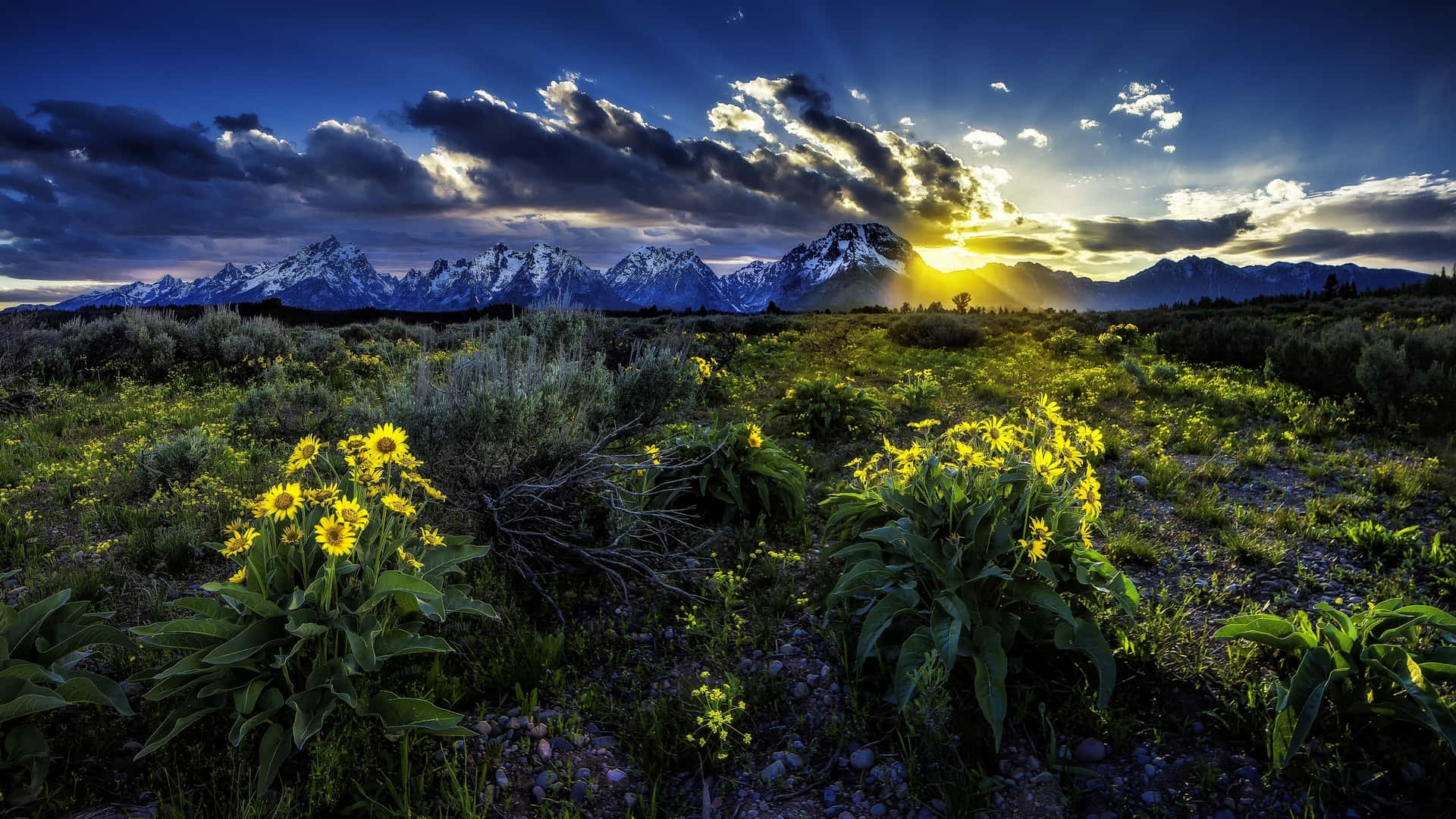 Maestosemontagne Rocciose Nel Parco Nazionale Di Grand Teton Sfondo