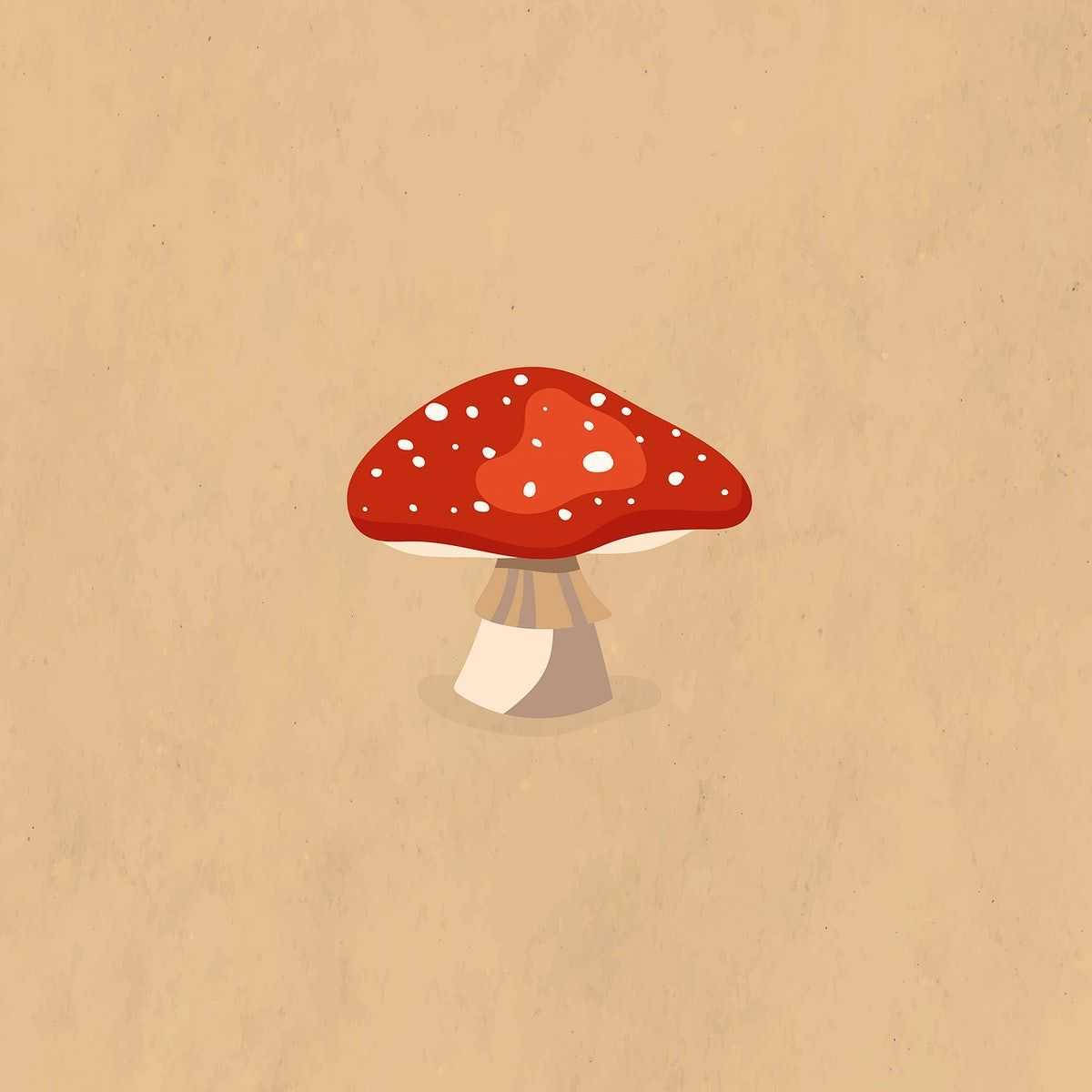 Rød Cap Mushroom Æstetisk Wallpaper