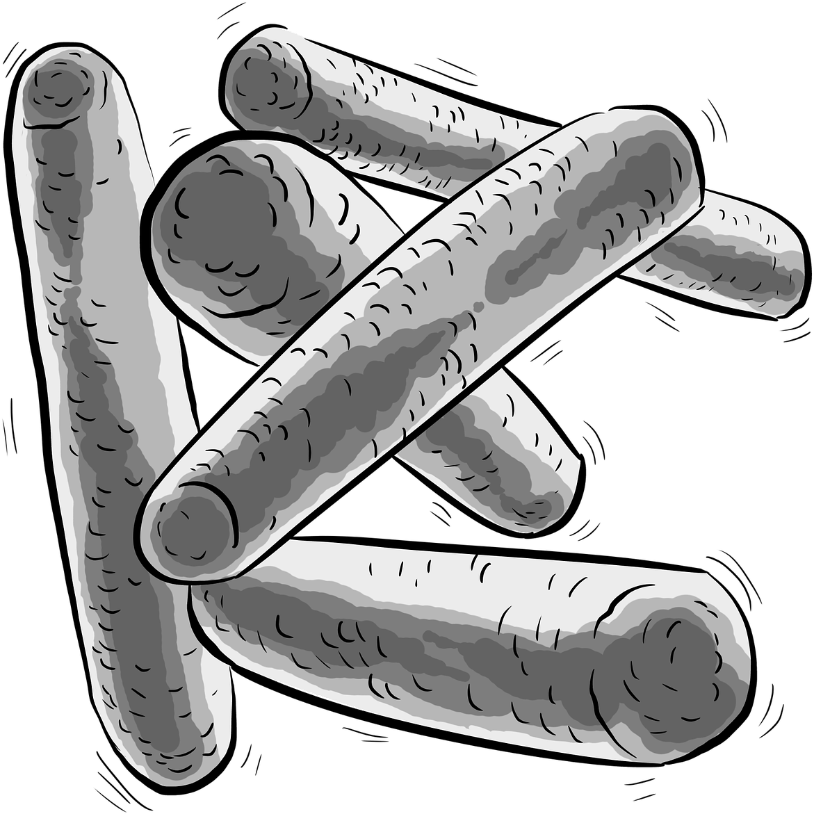 Rod Shaped Bacteria Illustration PNG