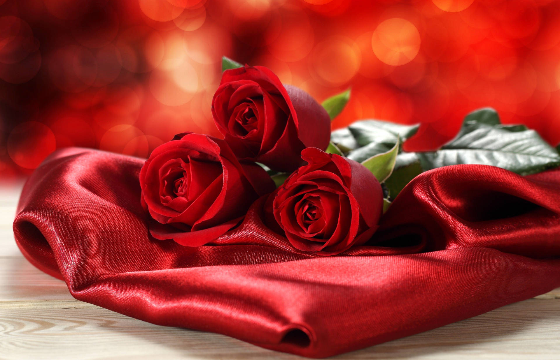 Rød Smuk Rose Hd På Silke Wallpaper