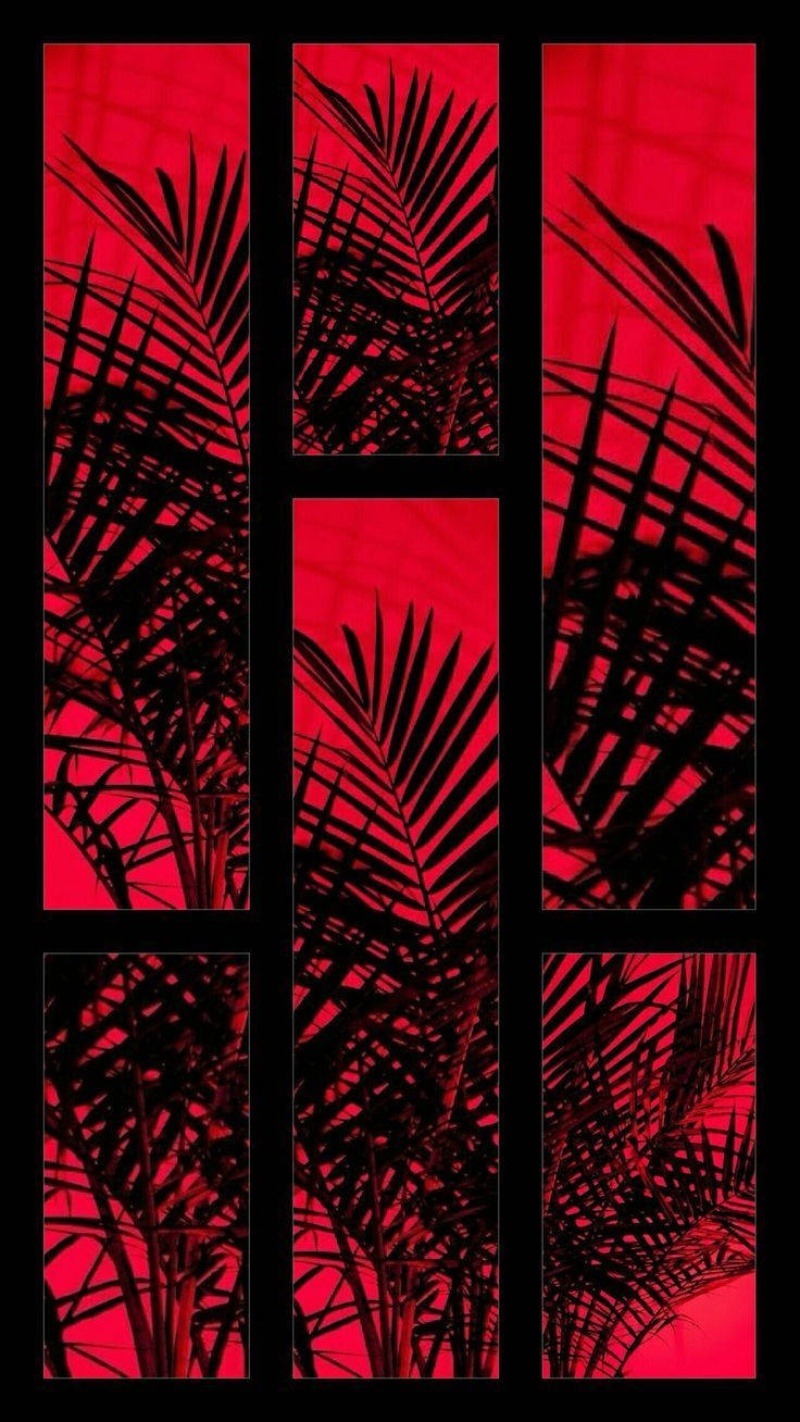 Røde Og Sorte Æstetiske Blade Wallpaper