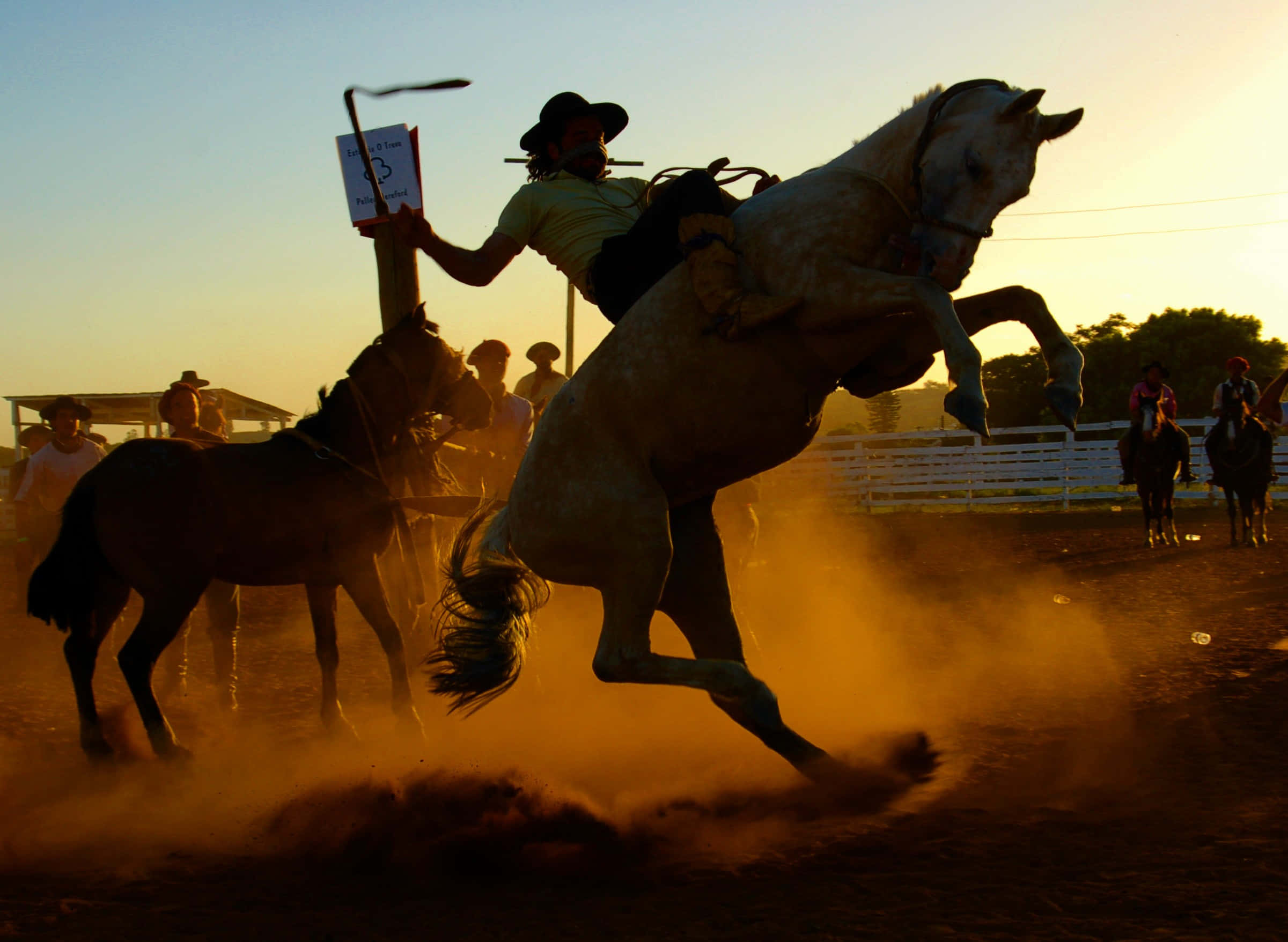 Cowboy skillfully riding a fierce horse in rodeo action