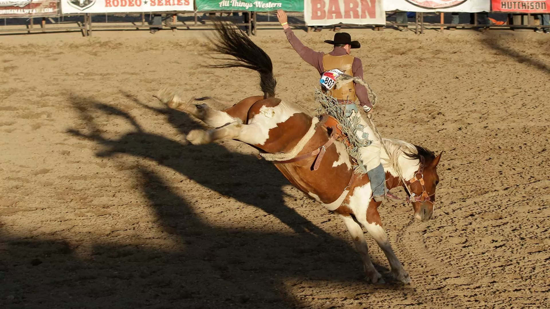 Eincowboy Reitet Einen Bronco Während Der Rodeo-show. Wallpaper