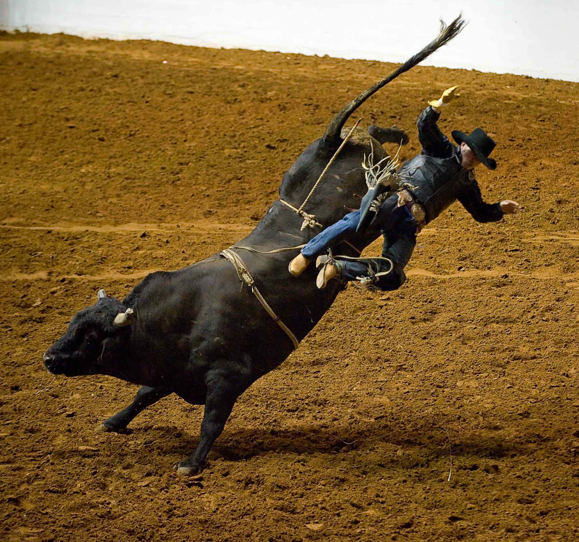 Billede Bull Ride på Rodeo Wallpaper