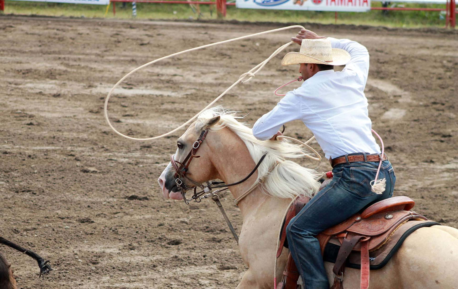 Feel the thrill of the rodeo! Wallpaper