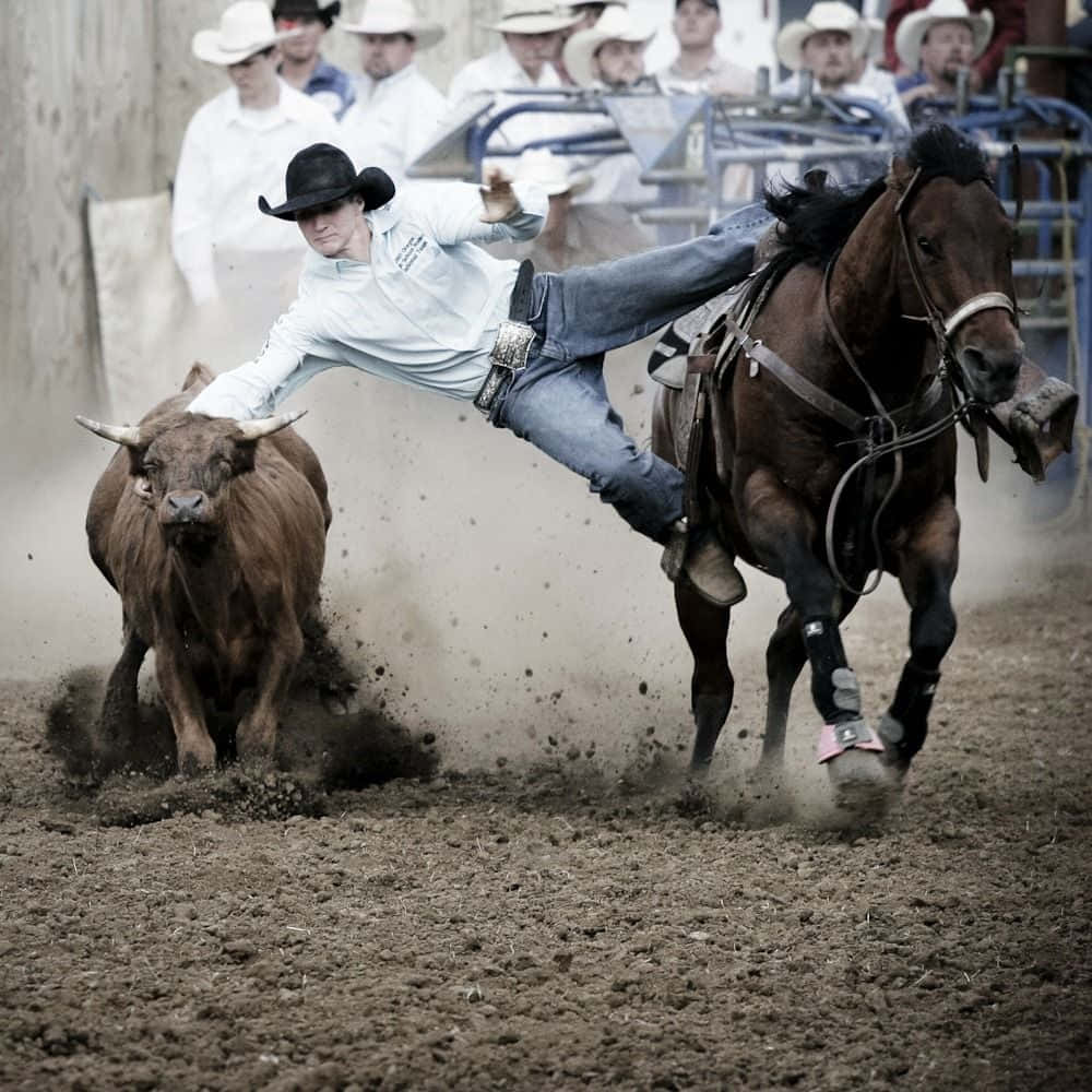 Rodeo Cowboy Catching A Bull Wallpaper