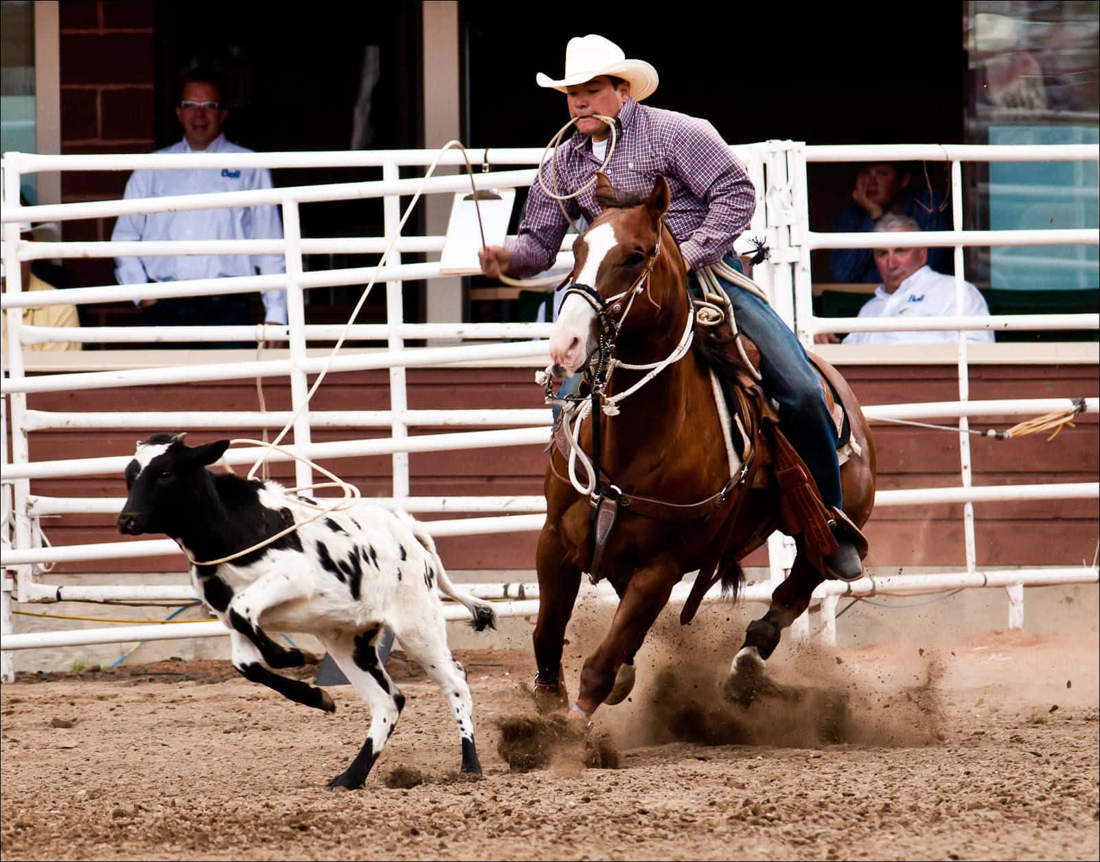 En rytter, der holder deres cowboyhat, mens de balancerer på en skrantende bronco på et rodeo. Wallpaper