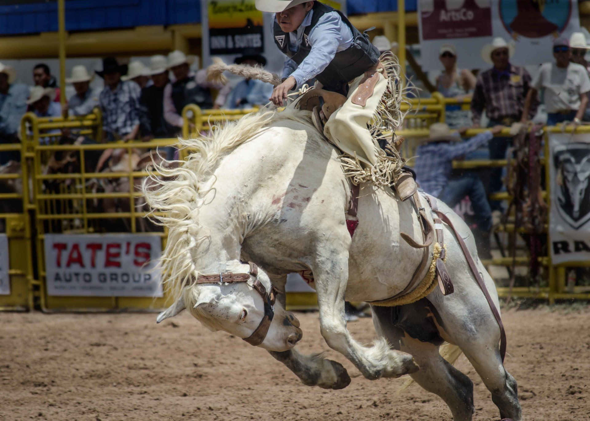 En cowboy, der forsøger at ride en bronko i en rodeokonkurrence. Wallpaper