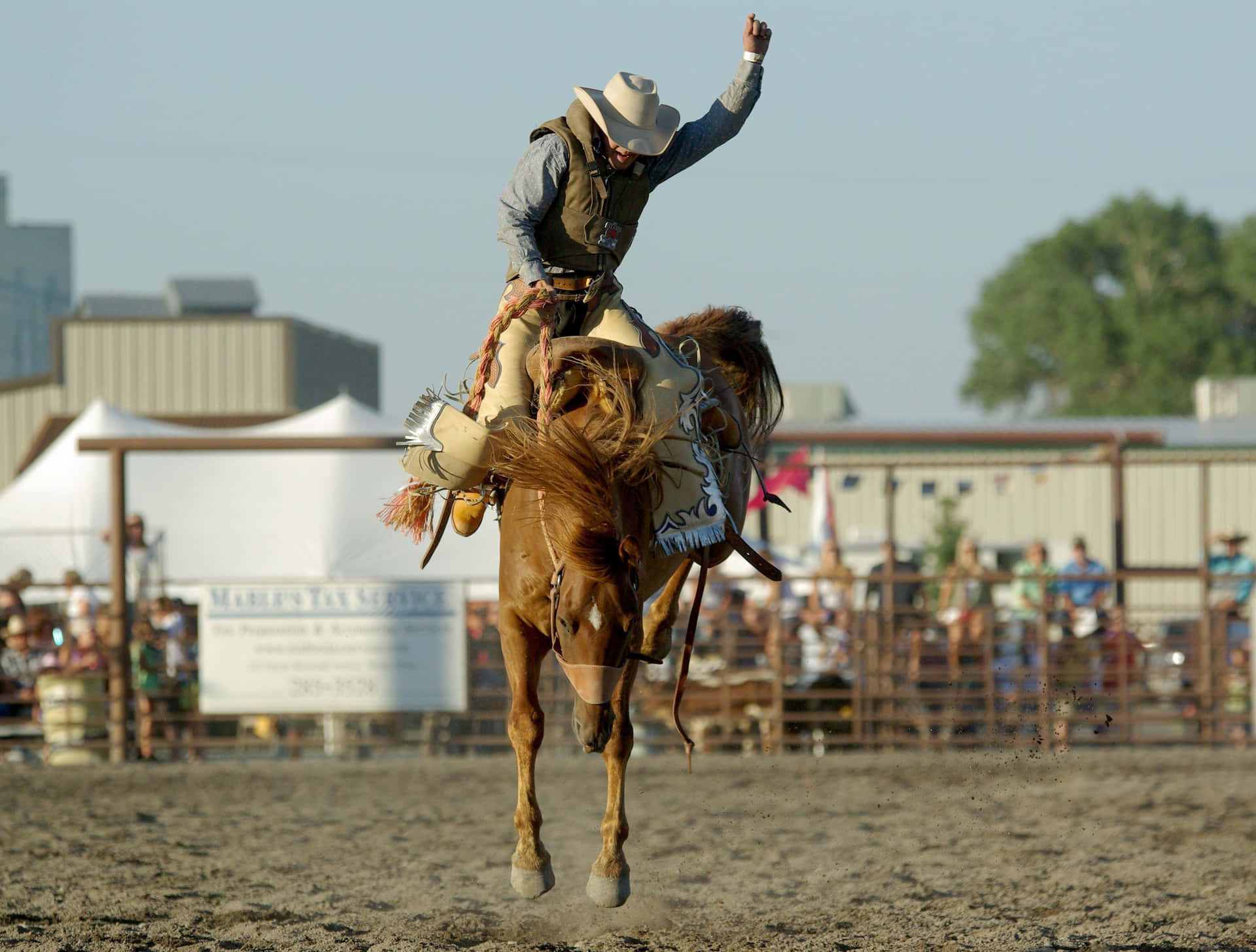 Rodeocowboy Reitet Auf Einem Wild Buckelnden Bronco-pferd. Wallpaper