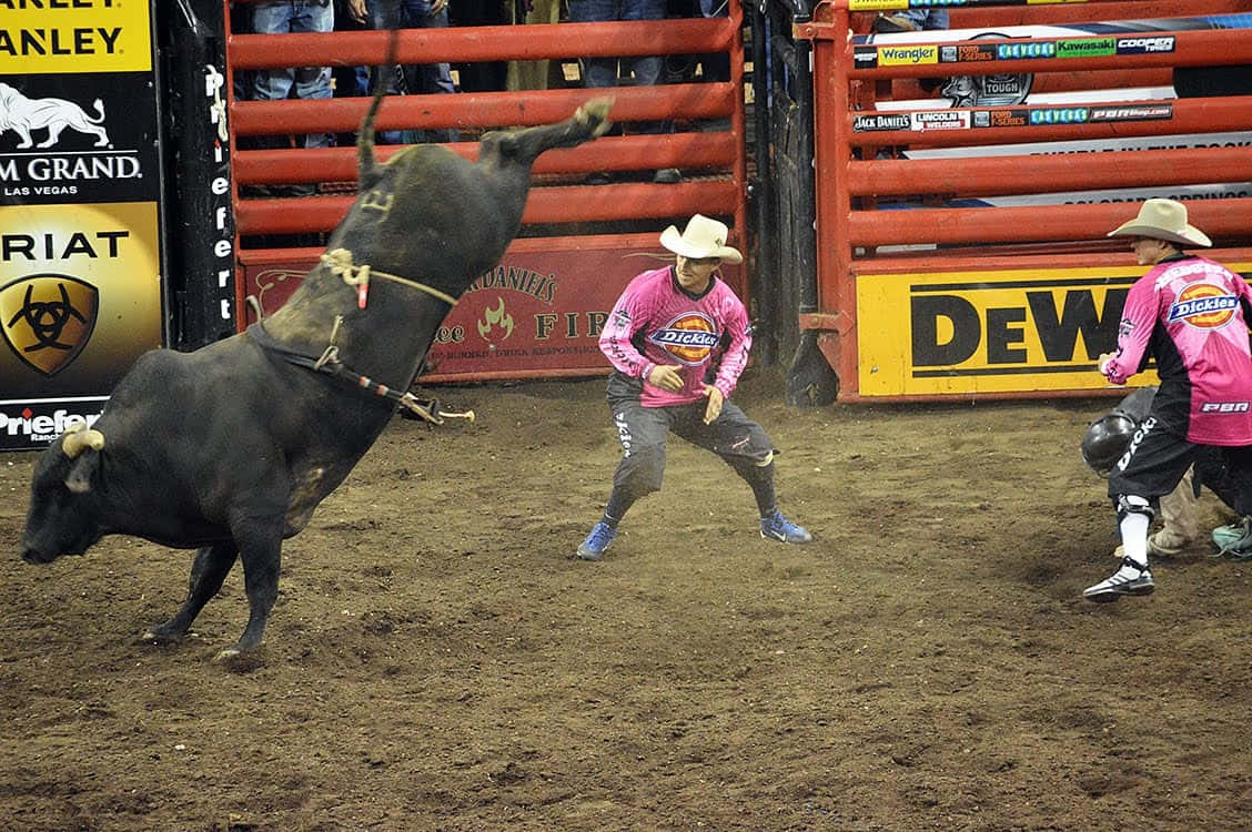 A cowboy rides a bucking bull at a rodeo. Wallpaper