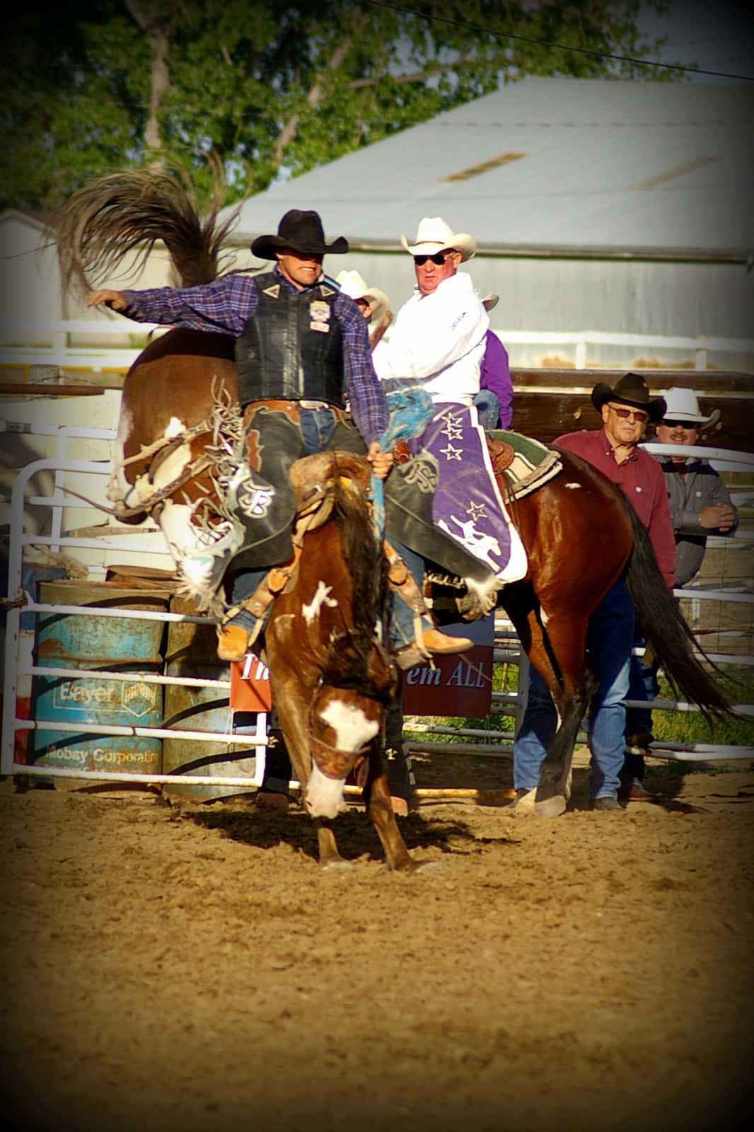 Get ready to cheer for the wildest show on Earth: the rodeo!