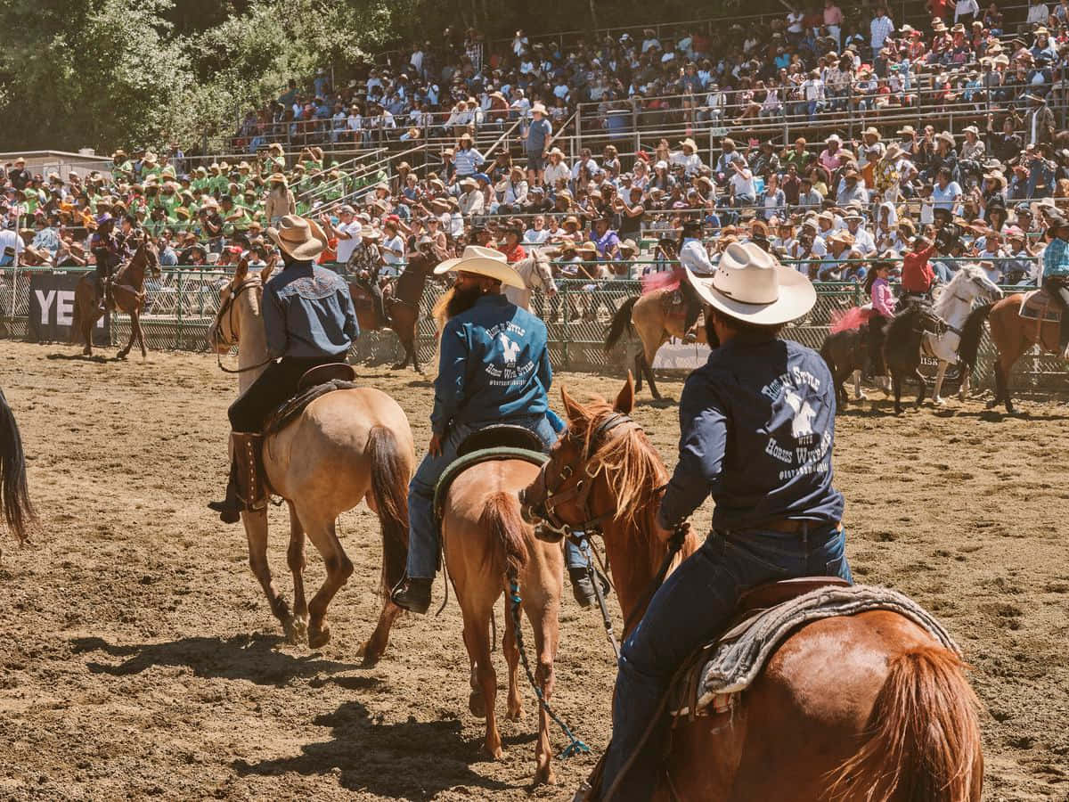 Uncowboy Partecipa A Un Evento Di Rodeo Pieno D'azione