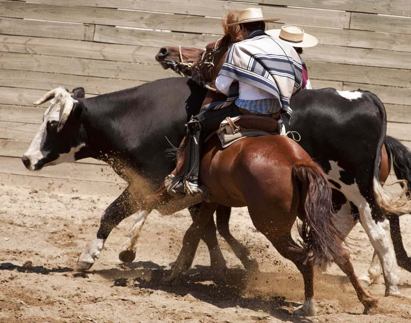 A rodeo is a competition that tests riders’ and animals’ skills through events such as bull riding, bronco riding and barrel racing.