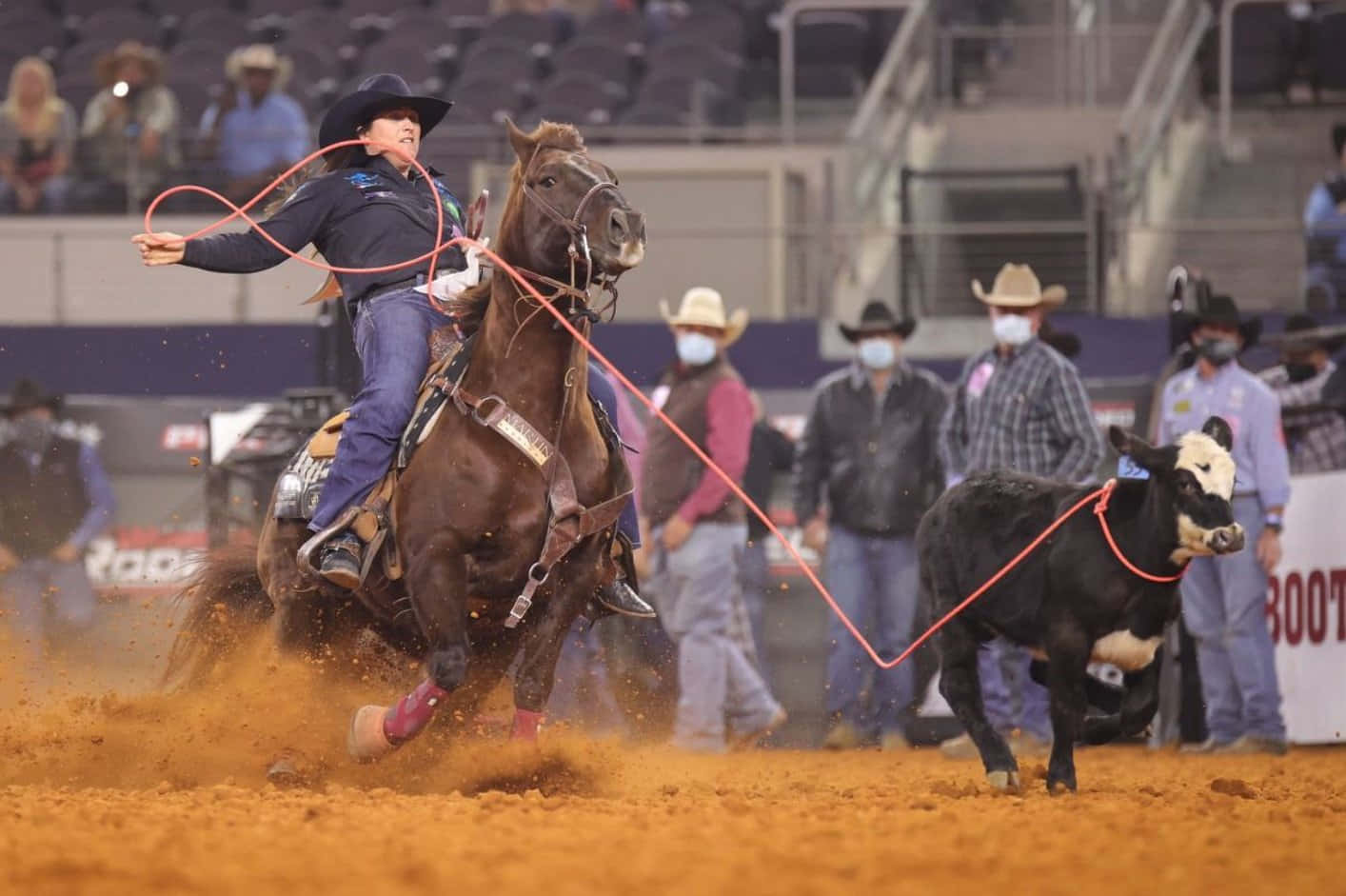 Professional cowboys competing in the annual rodeo