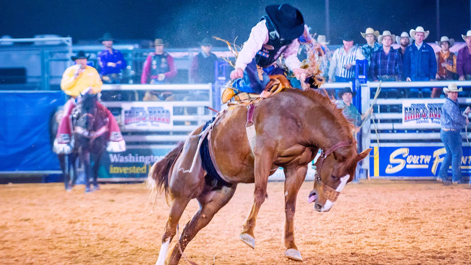 Rodeo Pictures 1600 X 900