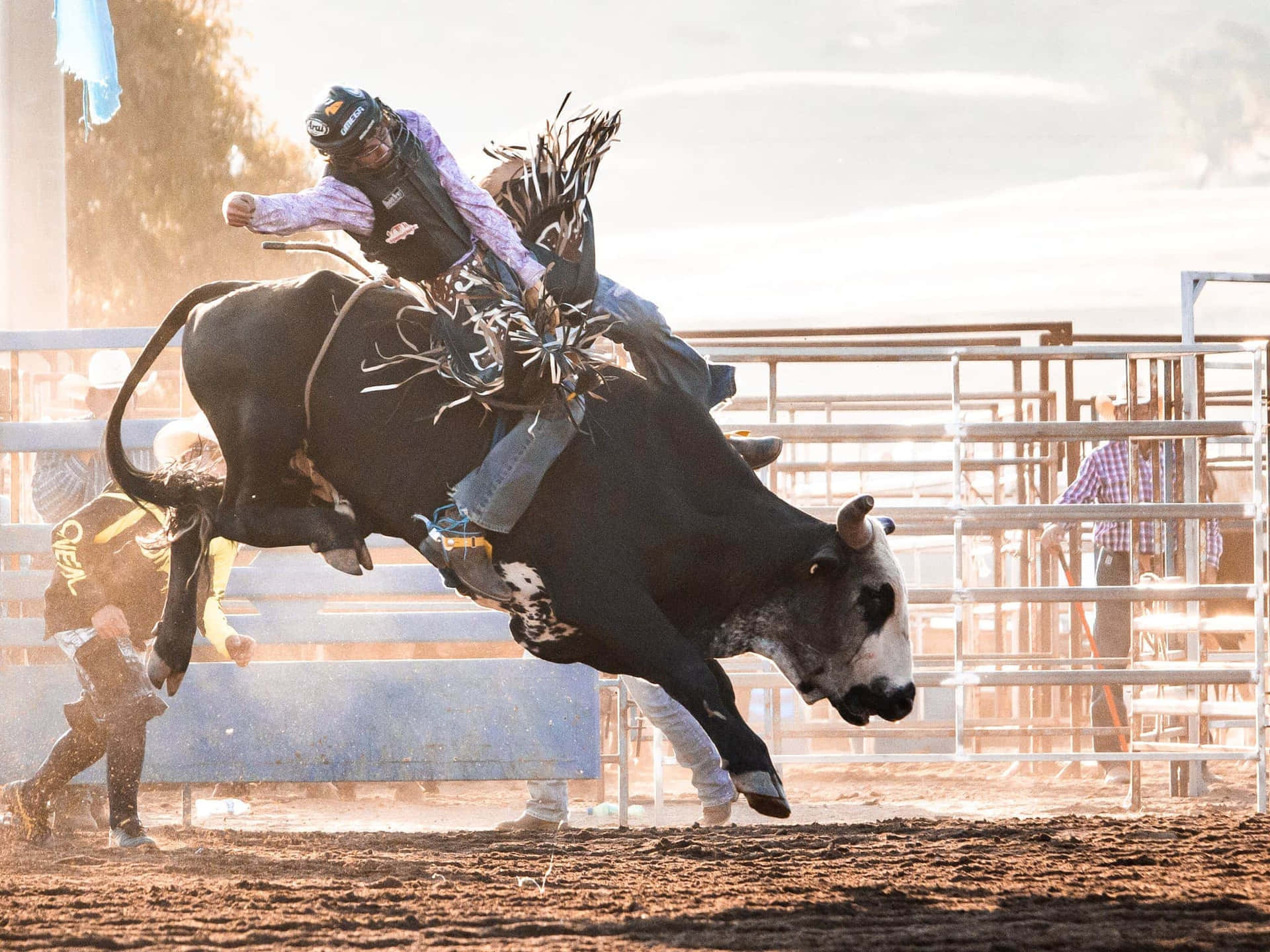 Cowboy Putting on a show in a Rodeo Arena